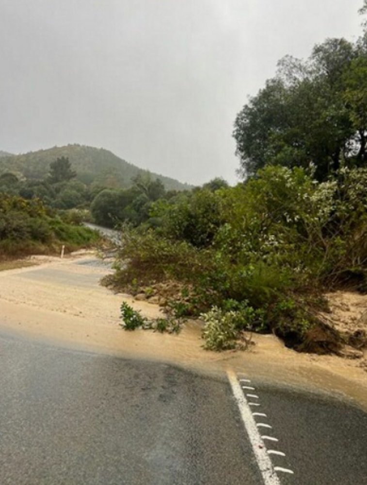 State Highway 2 between Napier and Gisborne was closed due to slips and tree falls. Photo / NZTA
