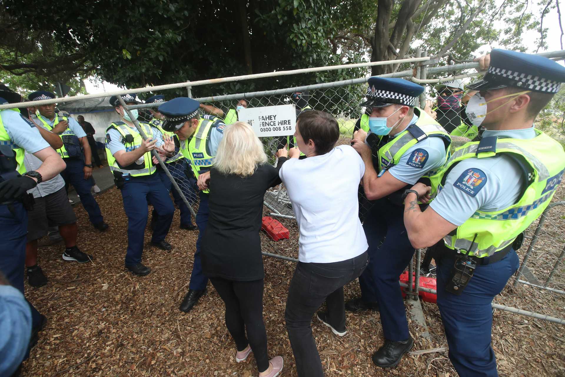 Protests as trees on Canal Rd in Avondale are being chopped down. Photo / Jason Oxenham 