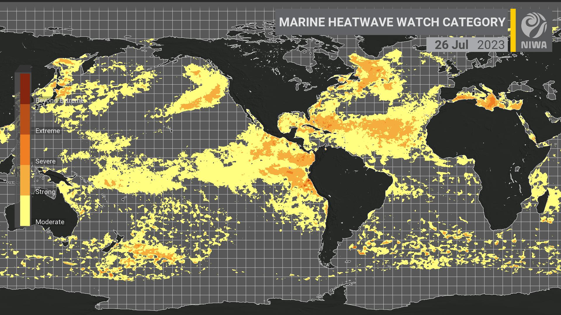 Swathes of the planet's oceans are experiencing marine heatwave conditions, with an El Nino system still forming. Source / Niwa