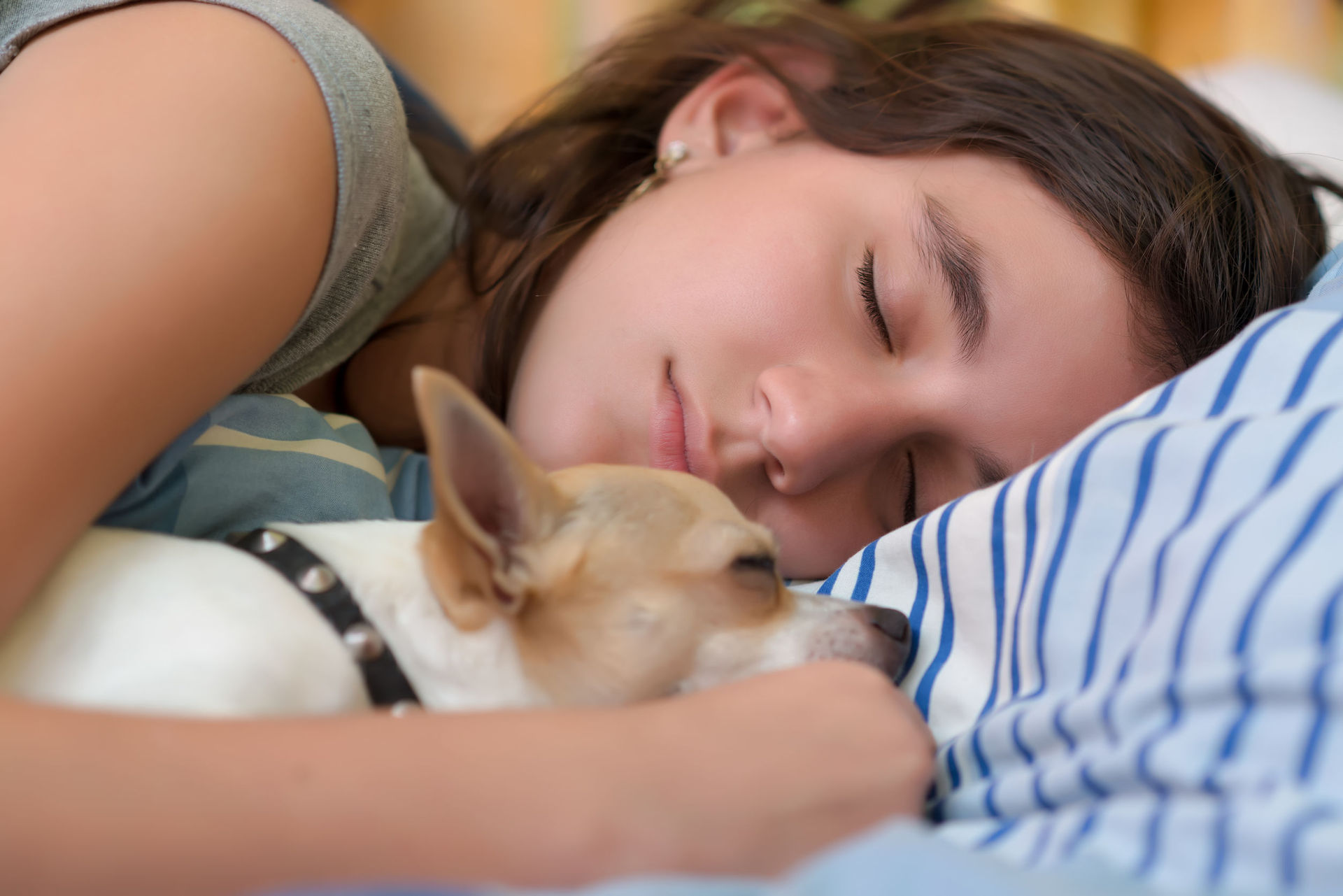 what are the benefits of sleeping with your dog