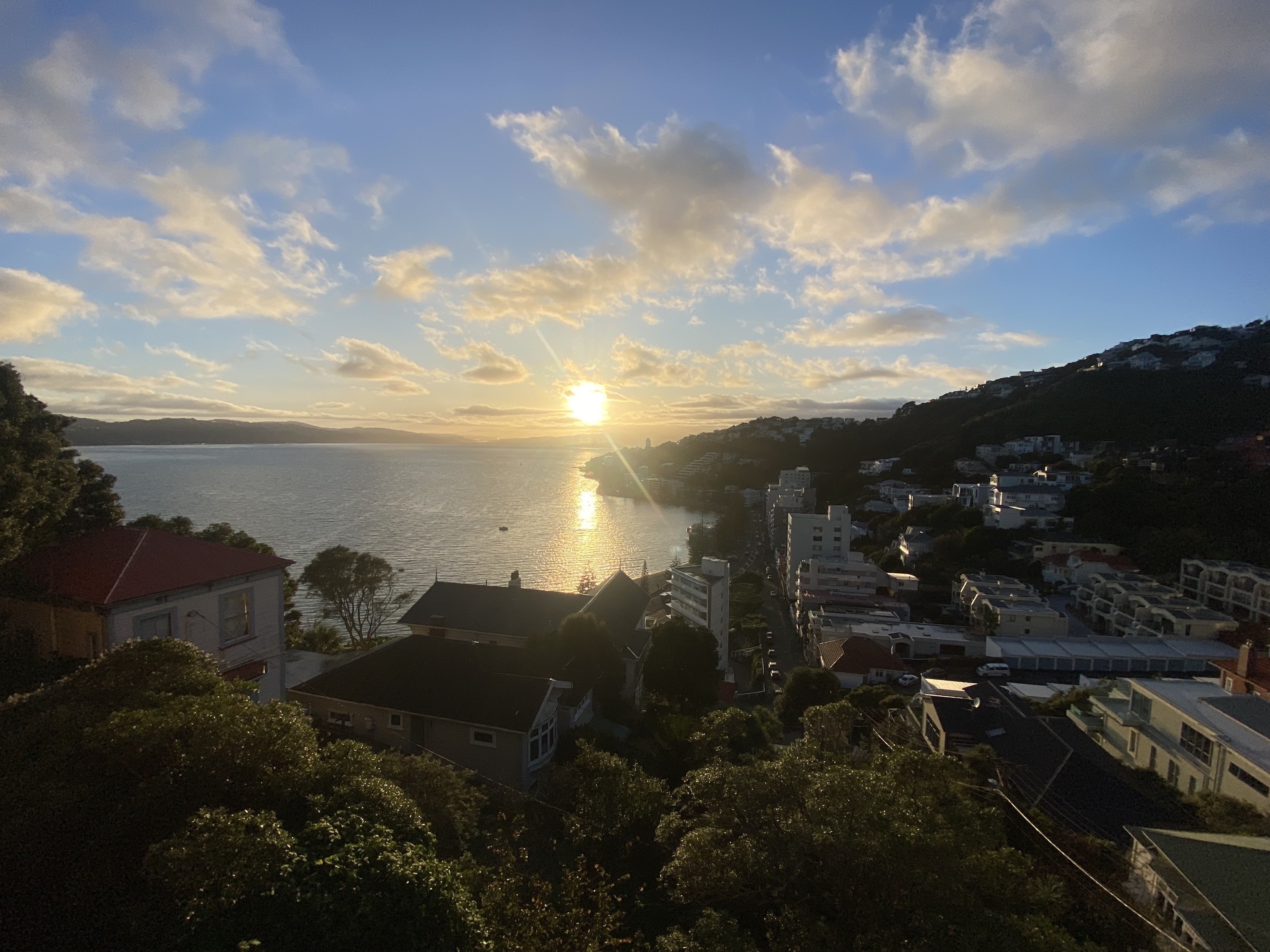 View of Wellington Harbour from Mt Victoria pictured in early June. Photo / Nick James