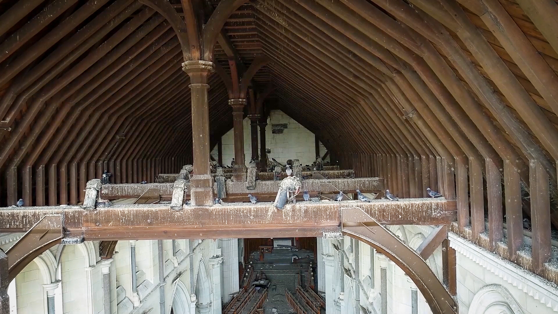 The roof interior was taken over by pigeons, which are in the process of being removed. Photo / Christ Church Cathedral Reinstatement Project