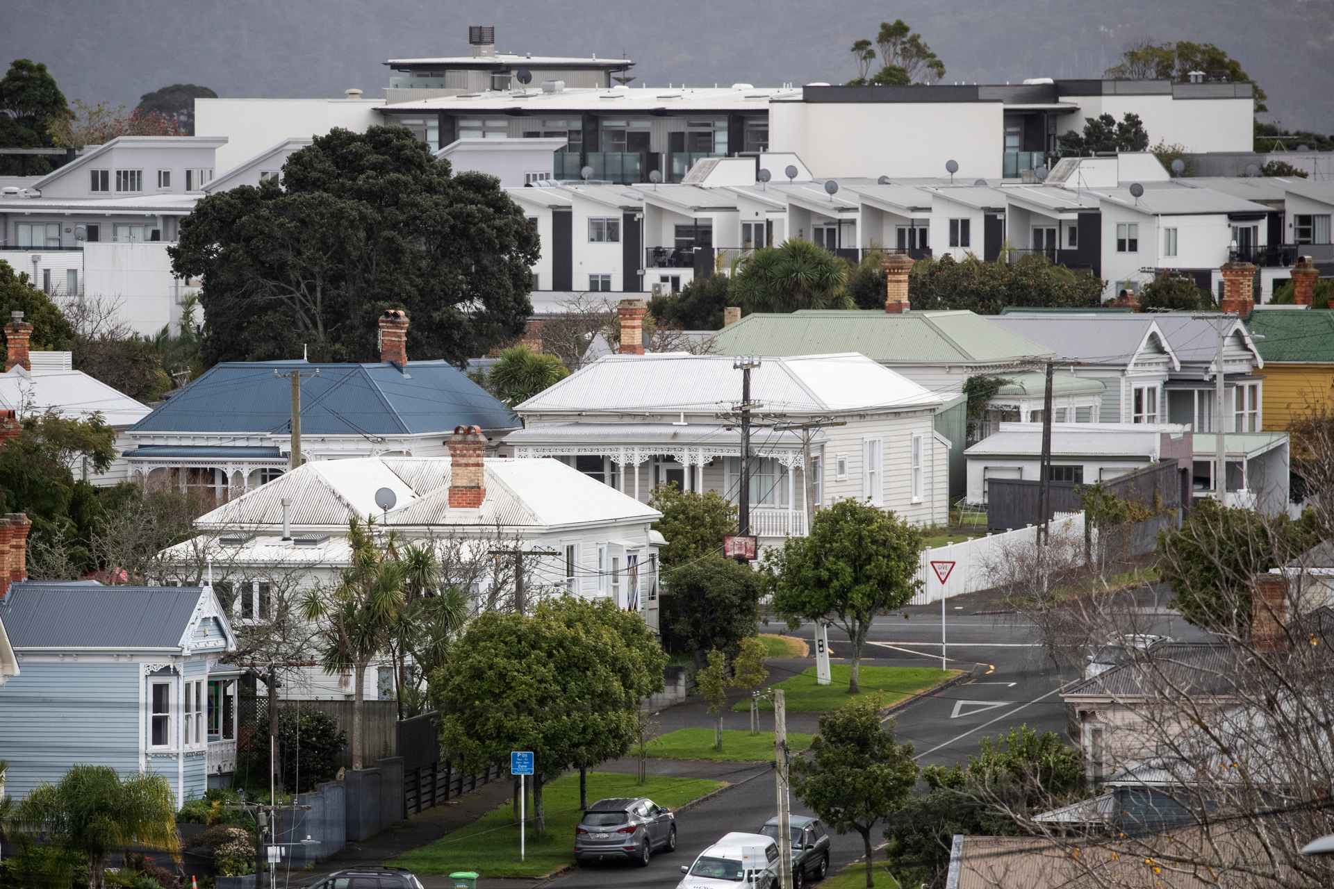 A plan for housing intensification is raising temperatures in Auckland. Photo / Jason Oxenham