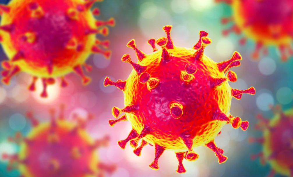 New Zealand's pandemic plan was more focused on influenza and a mitigation strategy, but the Government eventually adopted an elimination strategy. Photo / Supplied