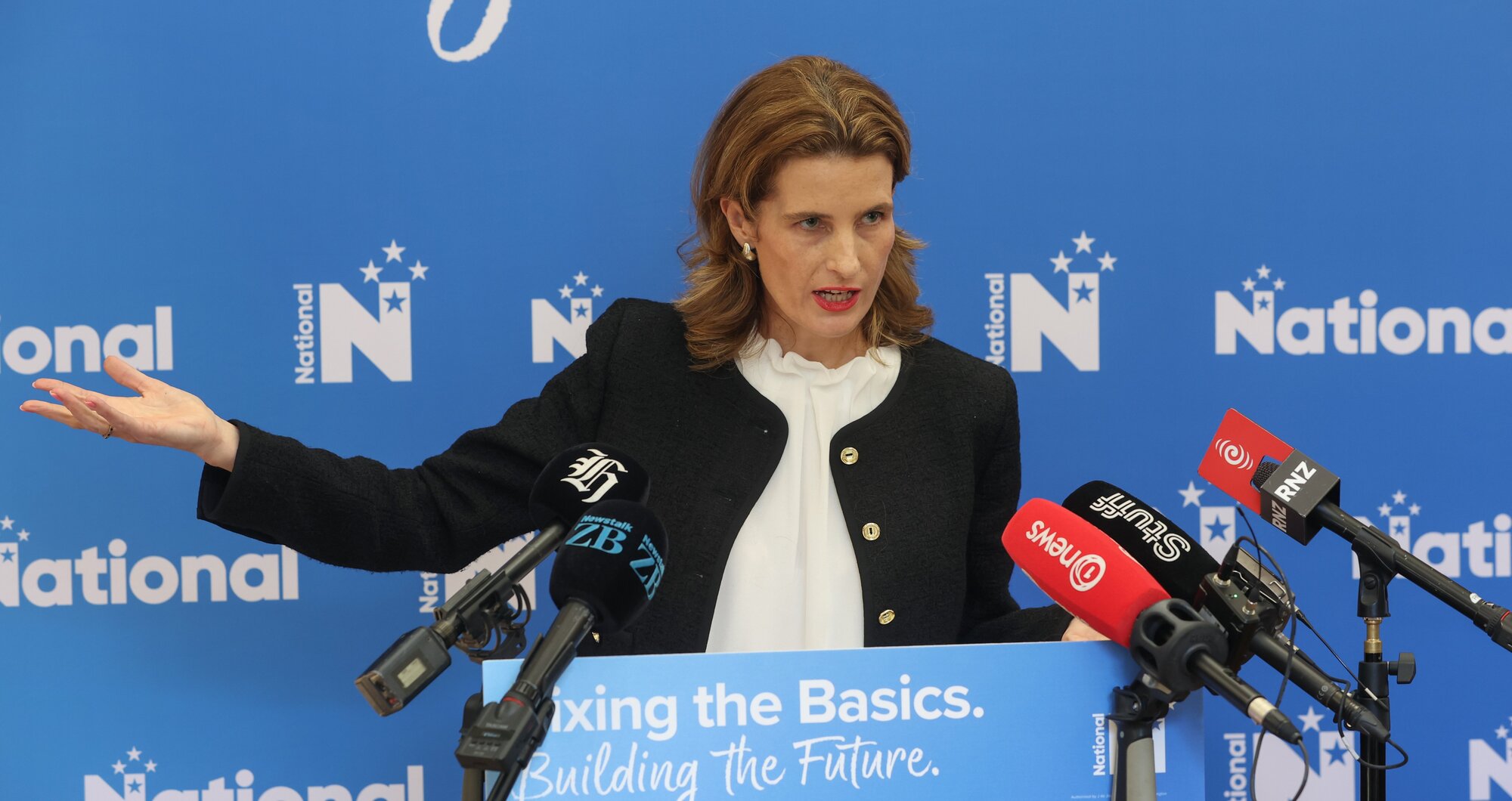 National finance spokeswoman Nicola Willis has questioned how Labour can pay for its election promises. Photo / Mark Mitchell