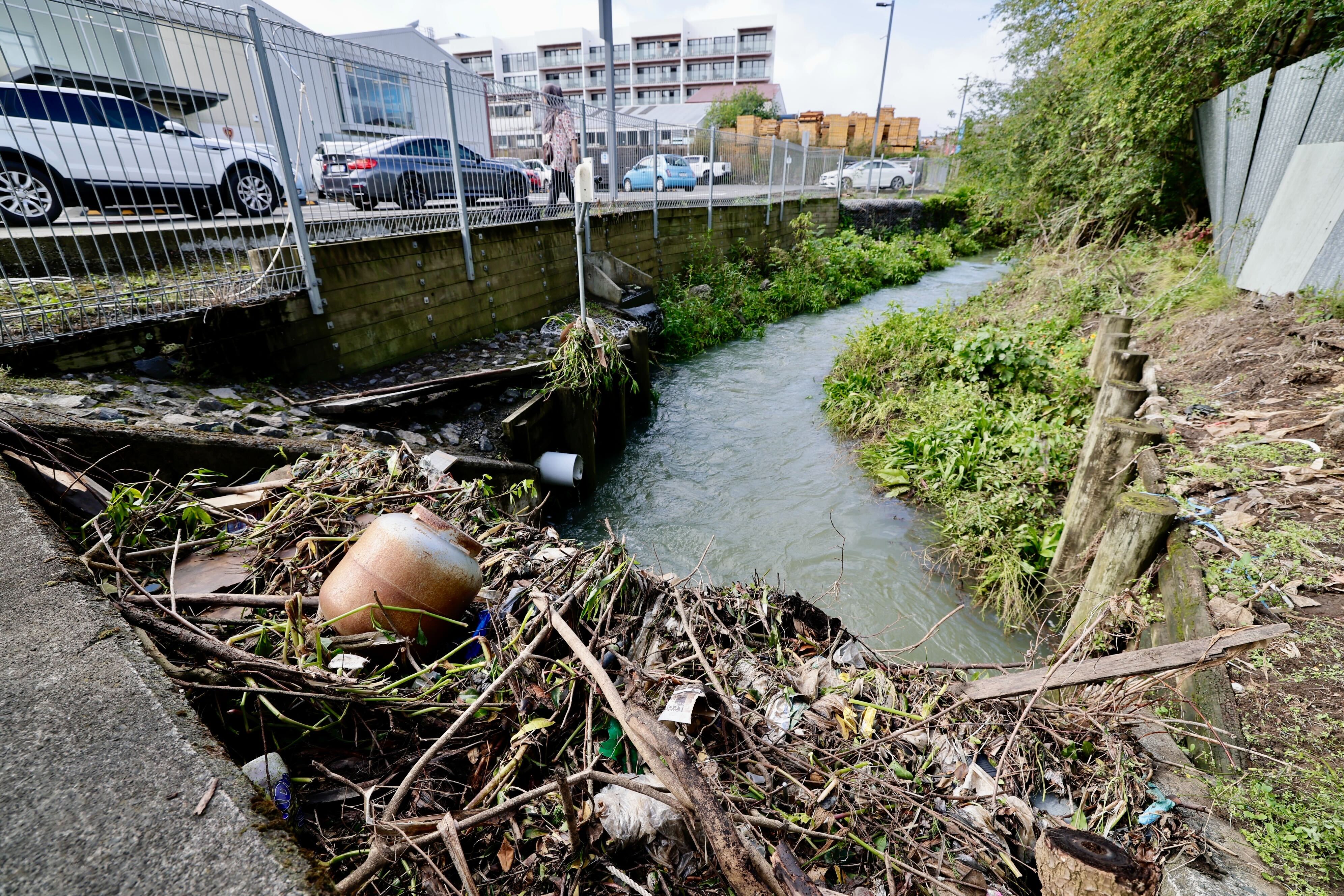 The creek and blocked culvert below Harish Lodhia's property in Mt Roskill. Photo / Dean Purcell
