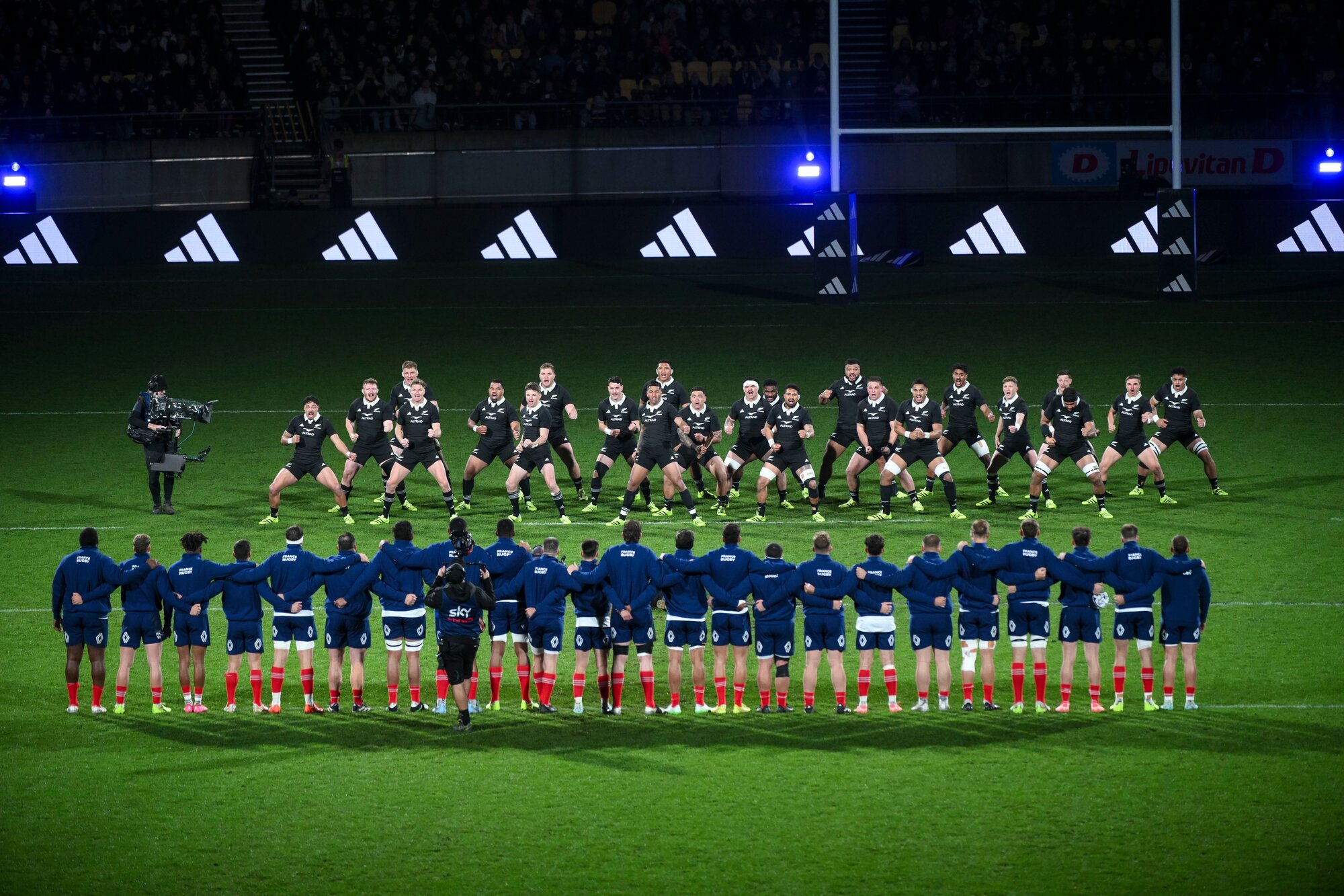 The French face the All Blacks haka in Wellington. Photo / Photosport