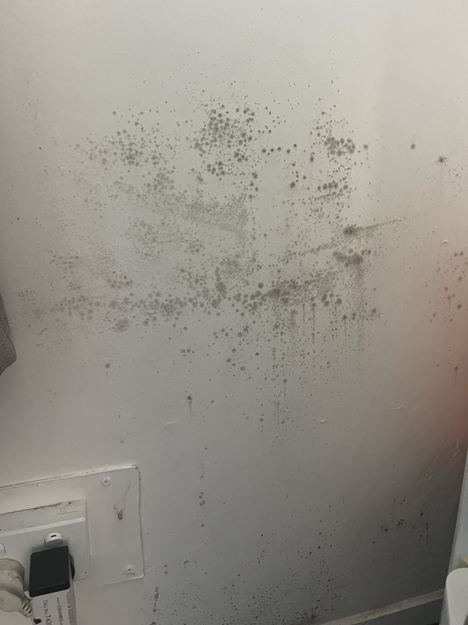 Black mould appeared on multiple walls at Montoya Fitimase's rental, where she lived with her five children.