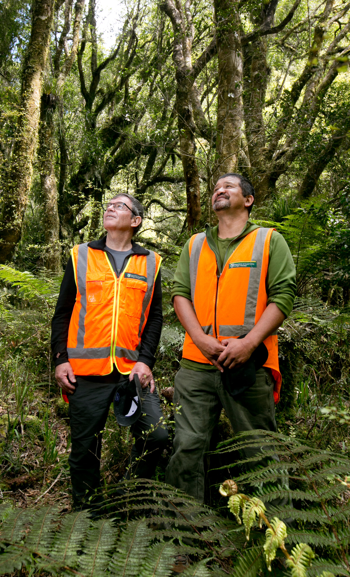 Department of Conservation ranger Graeme Atkins (right) explains the dire situation to DoC deputy Director General Mike Slater. Photo / Alan Gibson