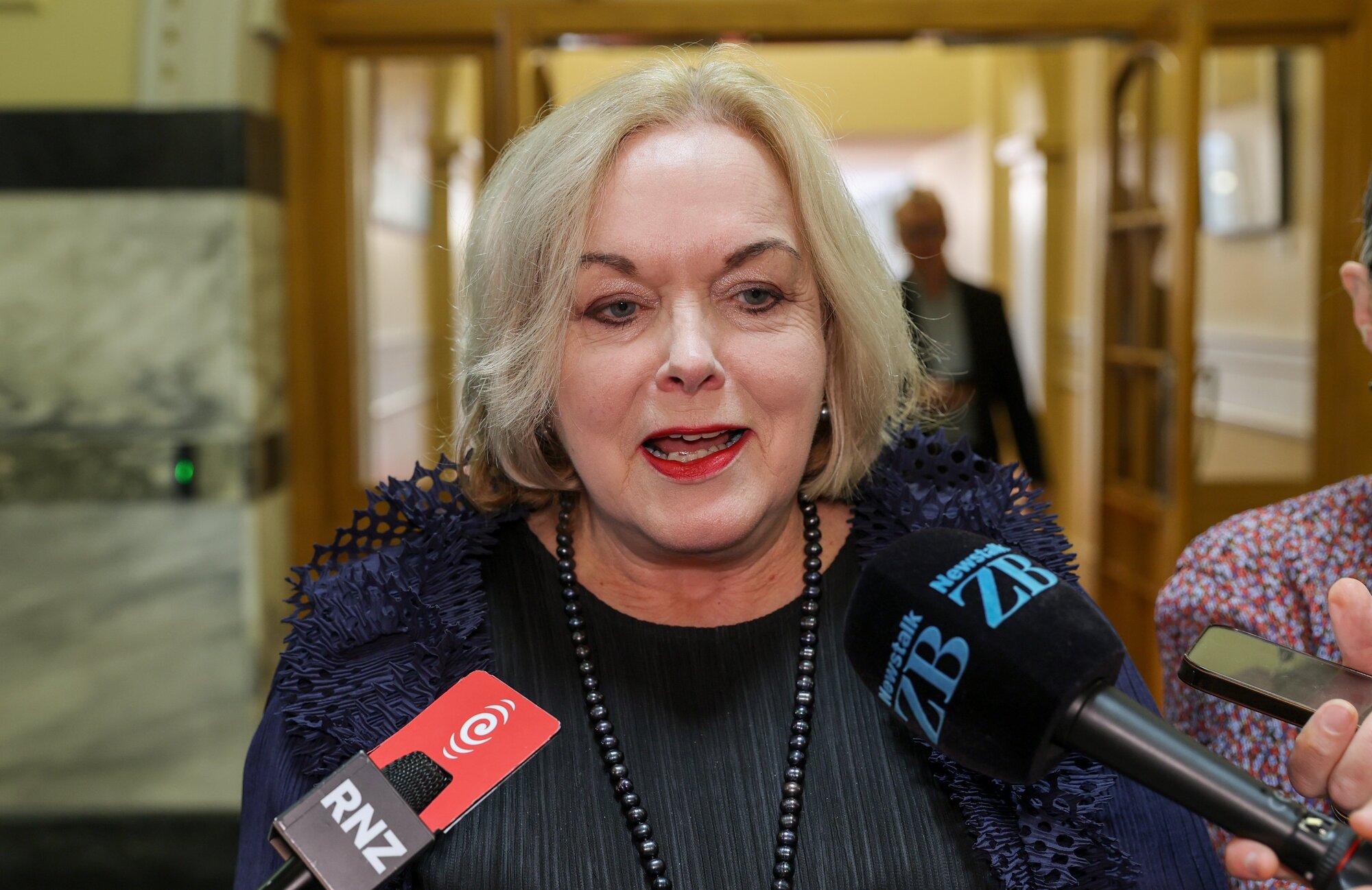 Defence Minister Judith Collins wants more money for the Defence Forces. Photo / Mark Mitchell
