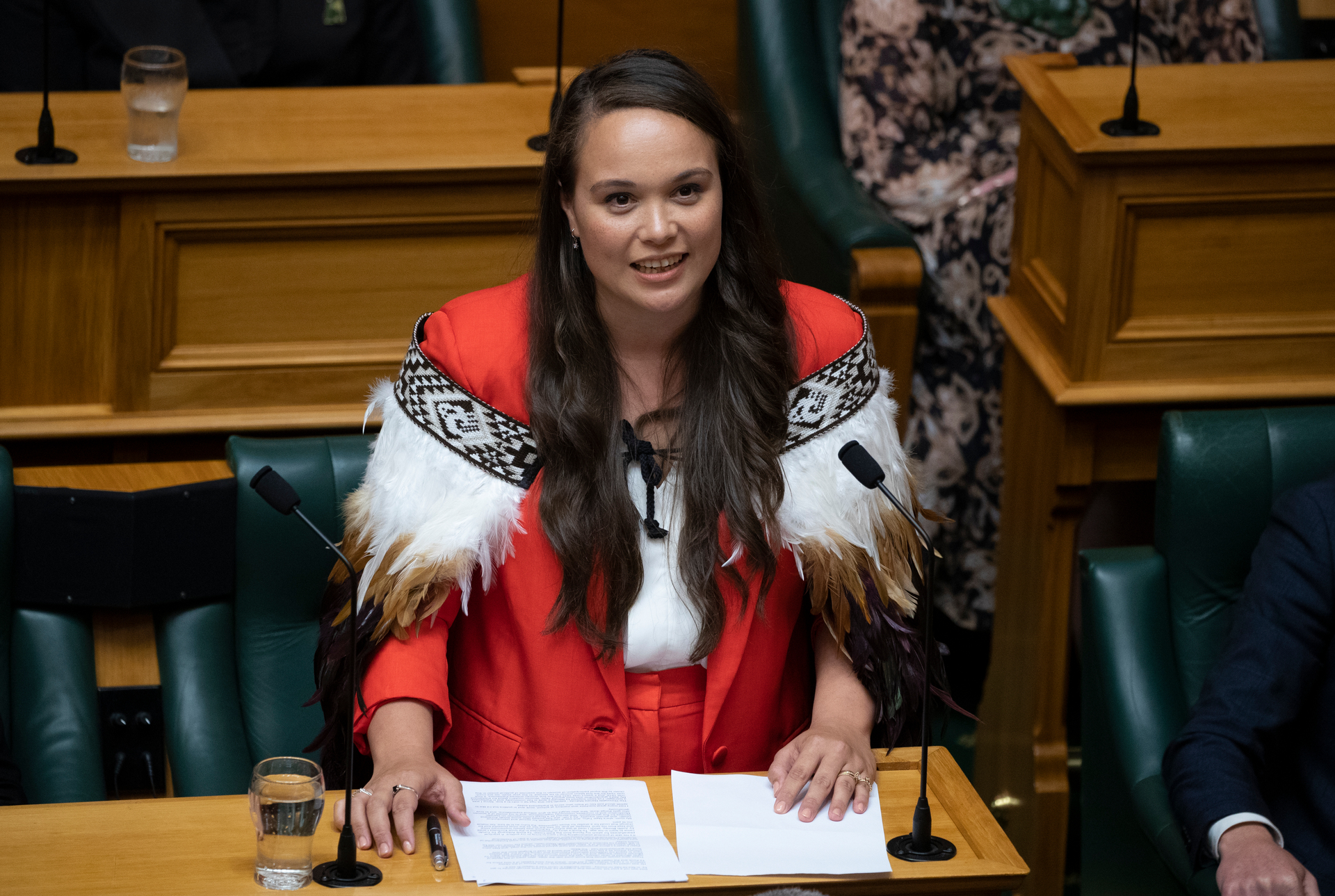 Arena Williams giving her maiden speech in Parliament in November 2020. Photo / Mark Mitchell