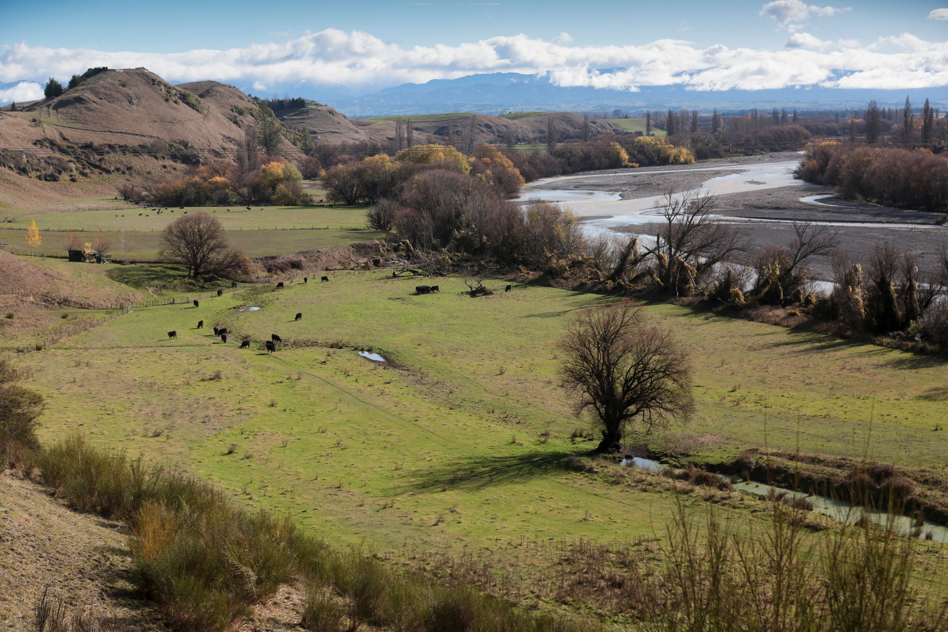 Hakwe's Bay Regional Council is working towards a Managed Aquifer Recharge system which would see water from Waipawa River redirected and stored underground in gravel. Photo / NZME
