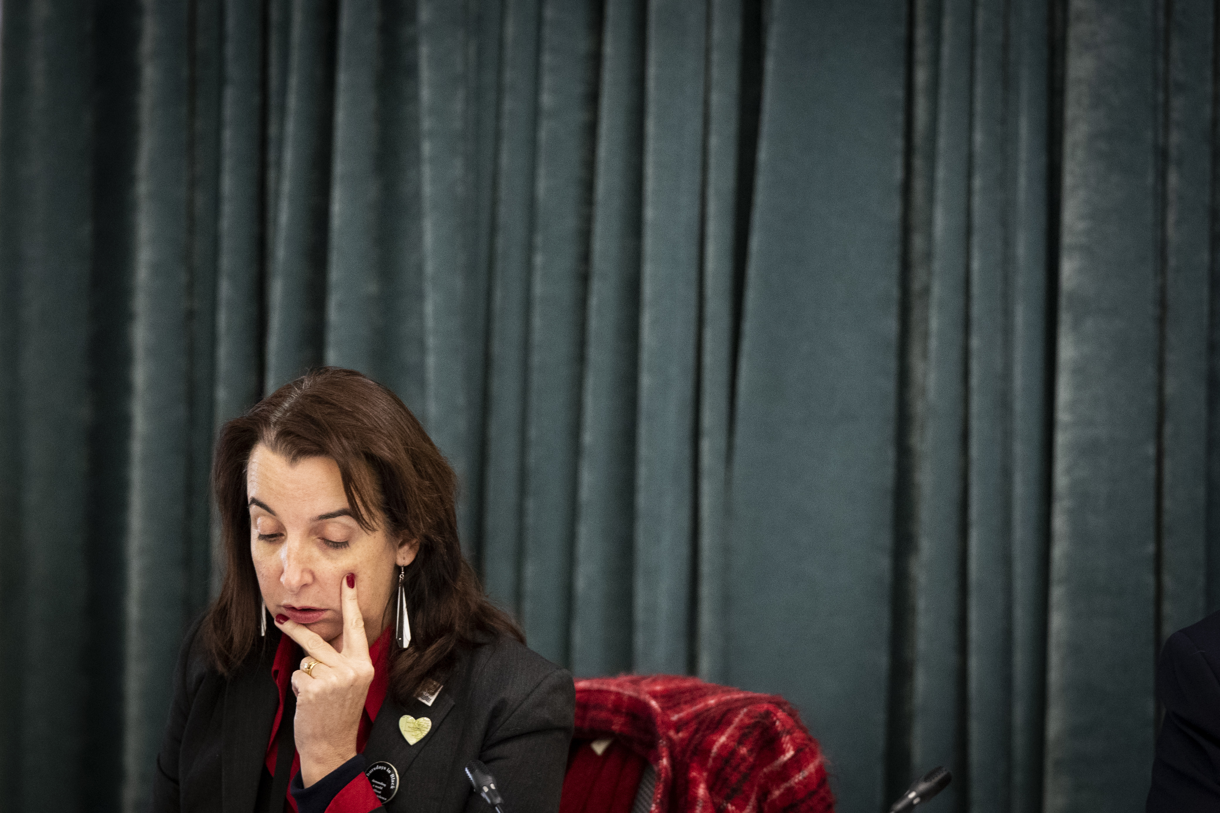 Councillor Julie Fairey put forward the motion to seek the Government to fully fund the busway. Photo / Jason Oxenham