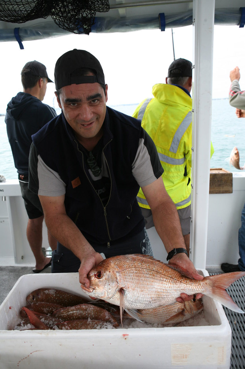 FISH FACTS: Iki Jime brain spiking - Fishing World Australia