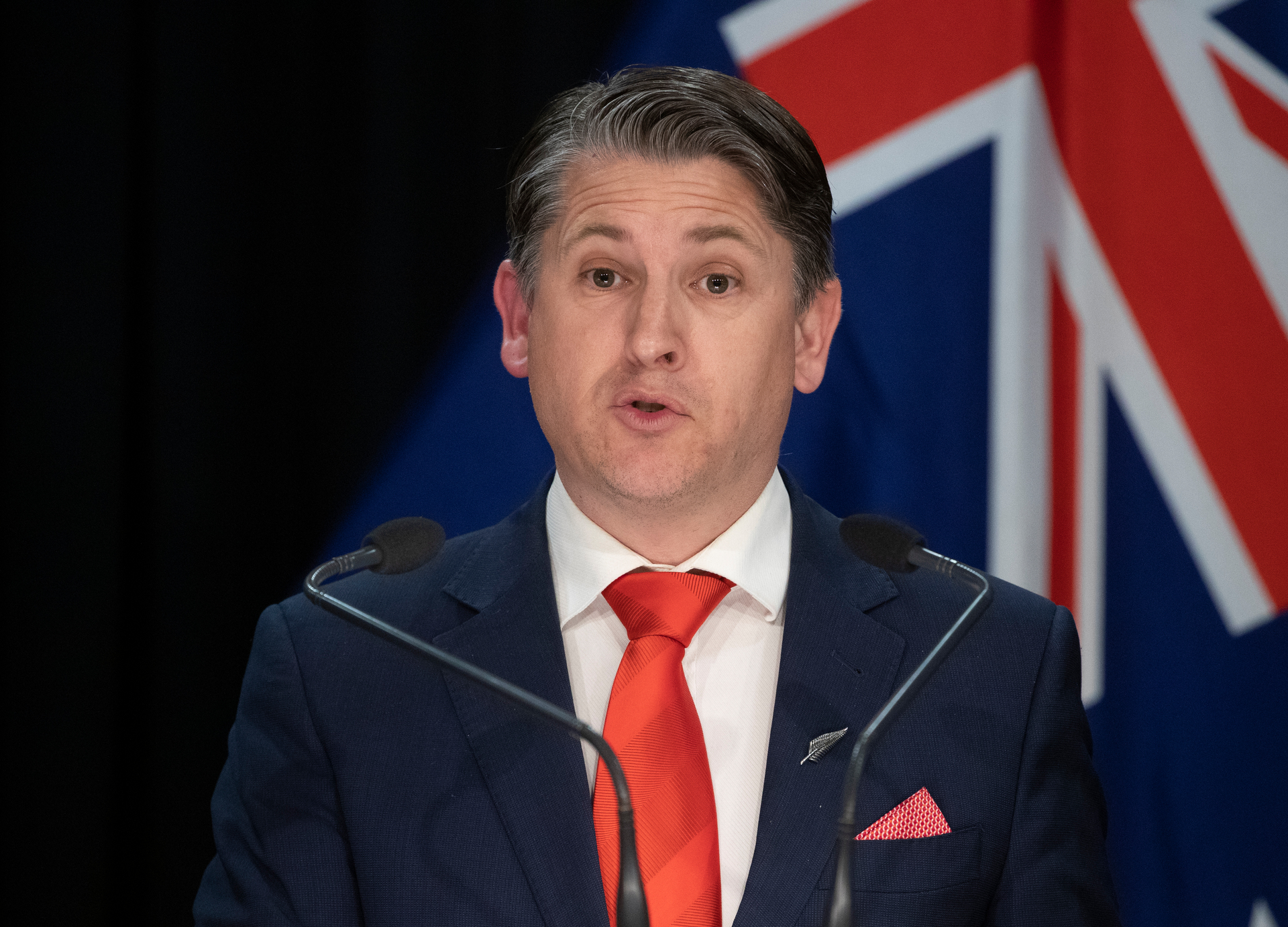 Immigration Minister Michael Wood. Photo / Mark Mitchell
