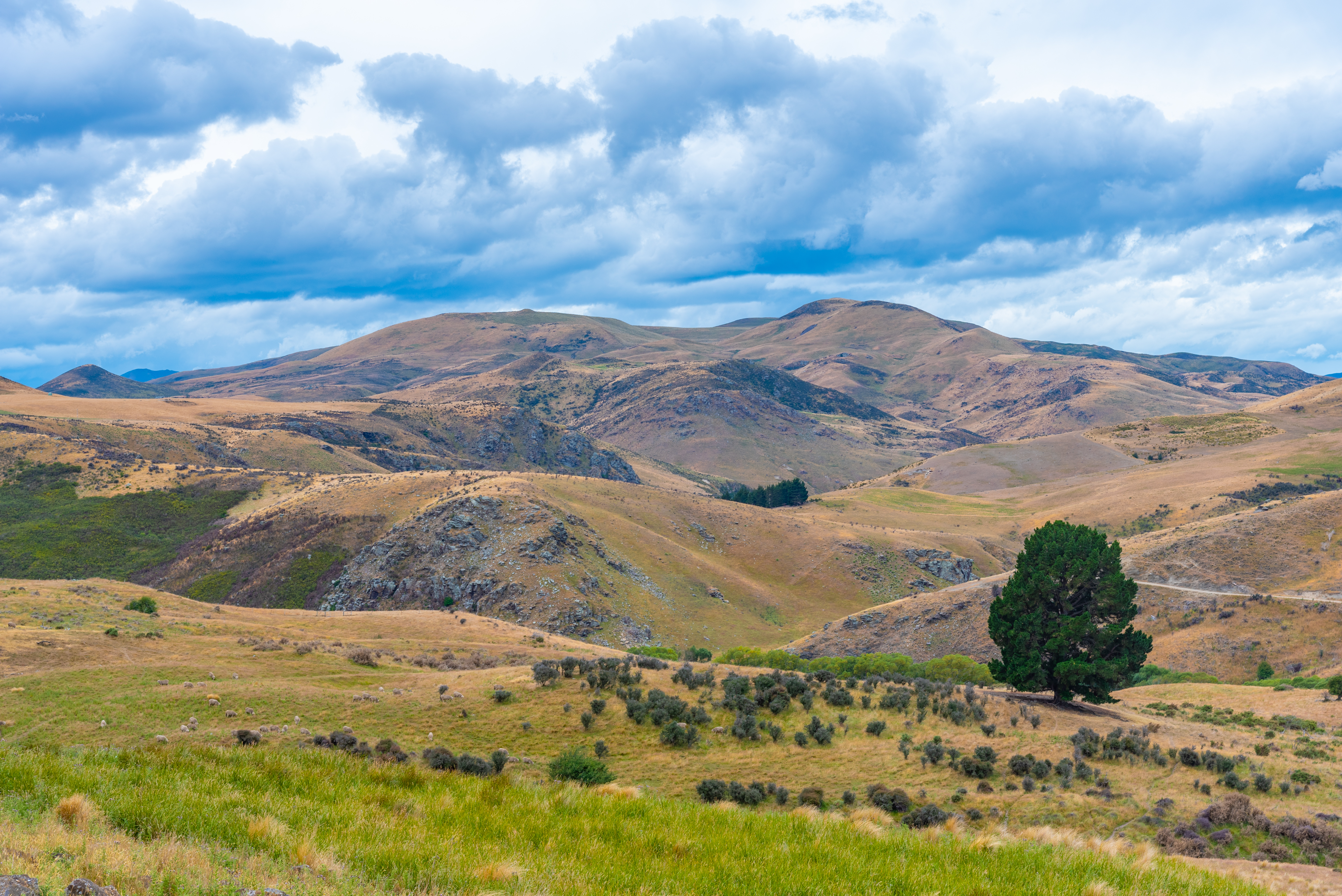 Central Otago. Photo / 123RF