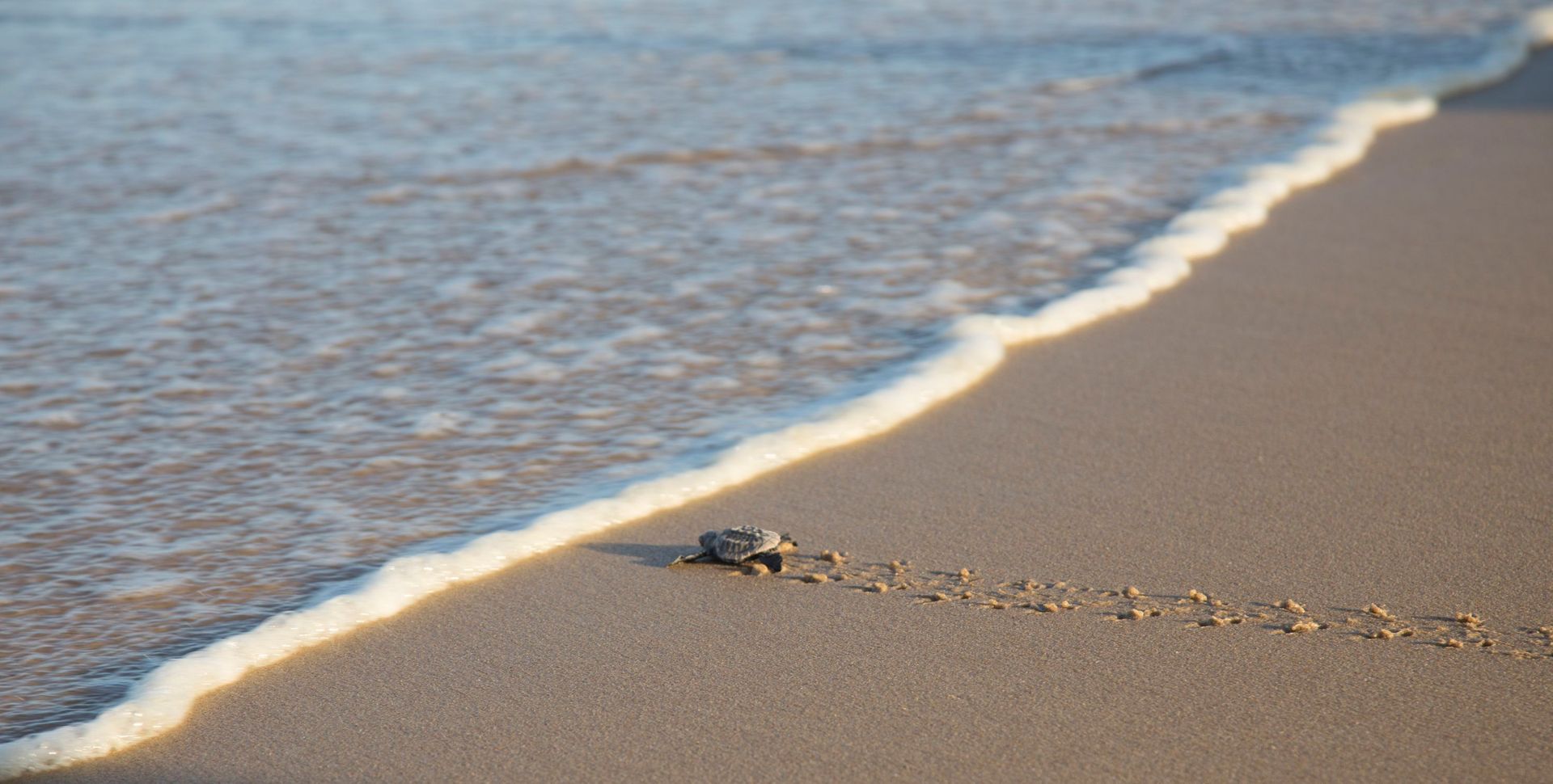 When they leave the nest, will you regret not spending more time with your kids?