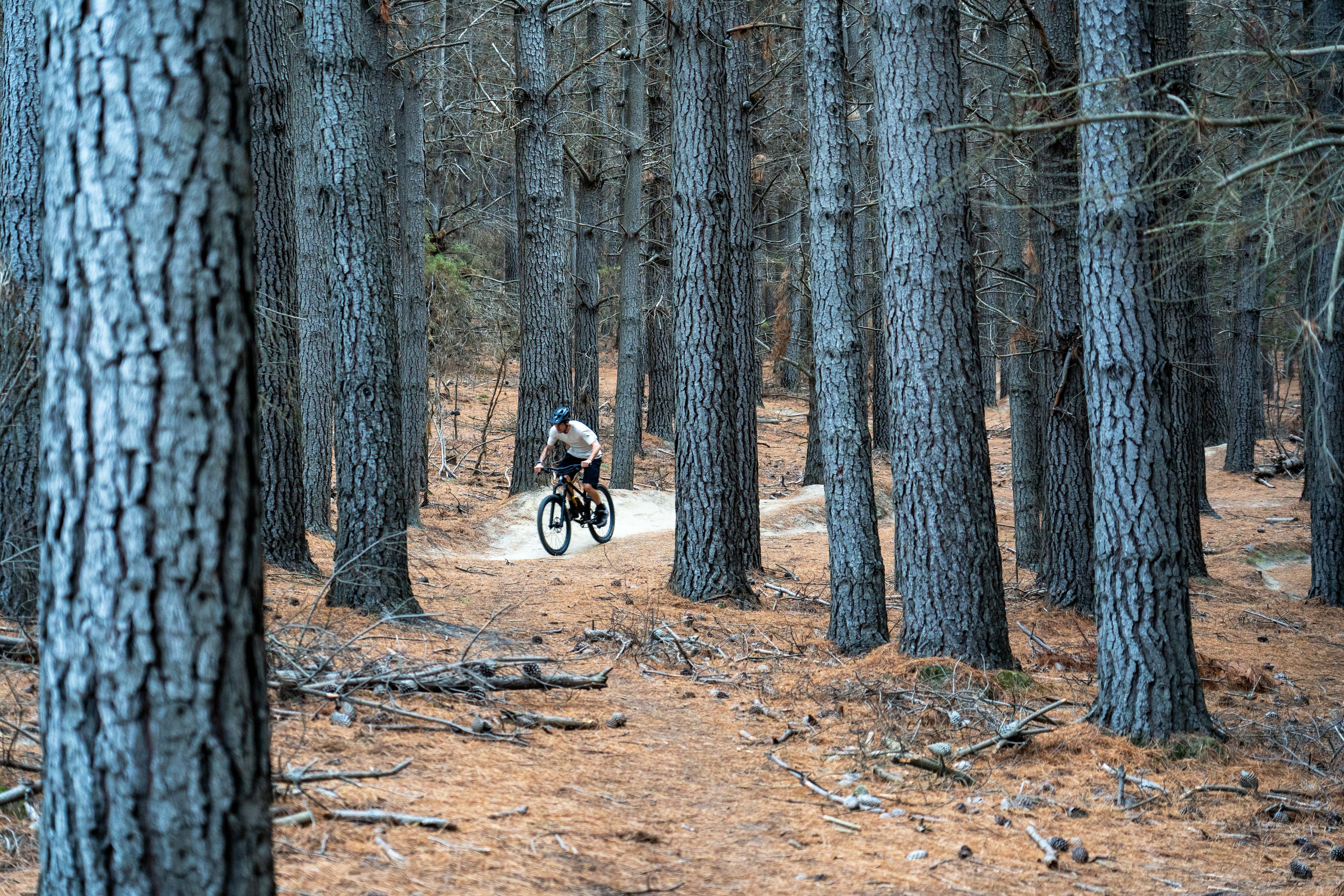 Local mountain biker Darren Gill exploring the trails of Sticky Forest, which has been open to public recreation for decades but will eventually be privately owned. The stick-laden forest floor is the basis for the forest's colloquial name. Photo / Derek Cheng