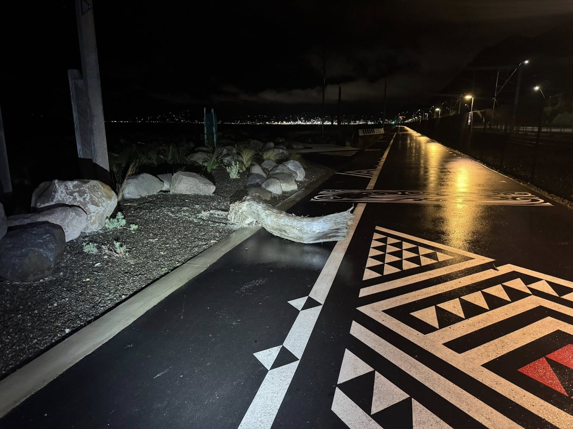 In addition to large rocks, a log was also pulled onto the cycle lane-portion of the Te Ara Tupua shared path.