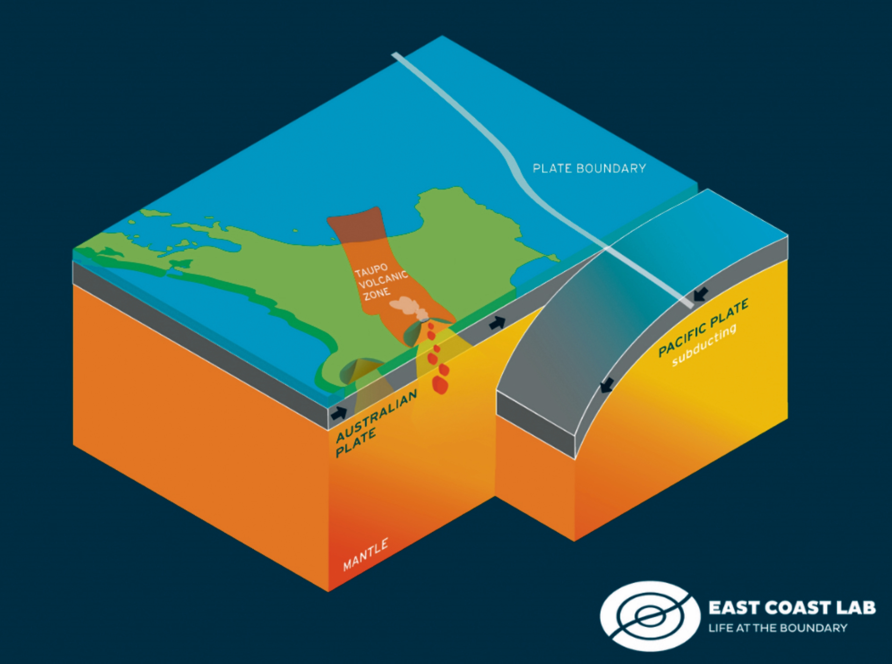 The Hikurangi Subduction Zone is where the Pacific Plate dives beneath the Australian Plate on the east coast of the North Island. Images / East Coast Labs