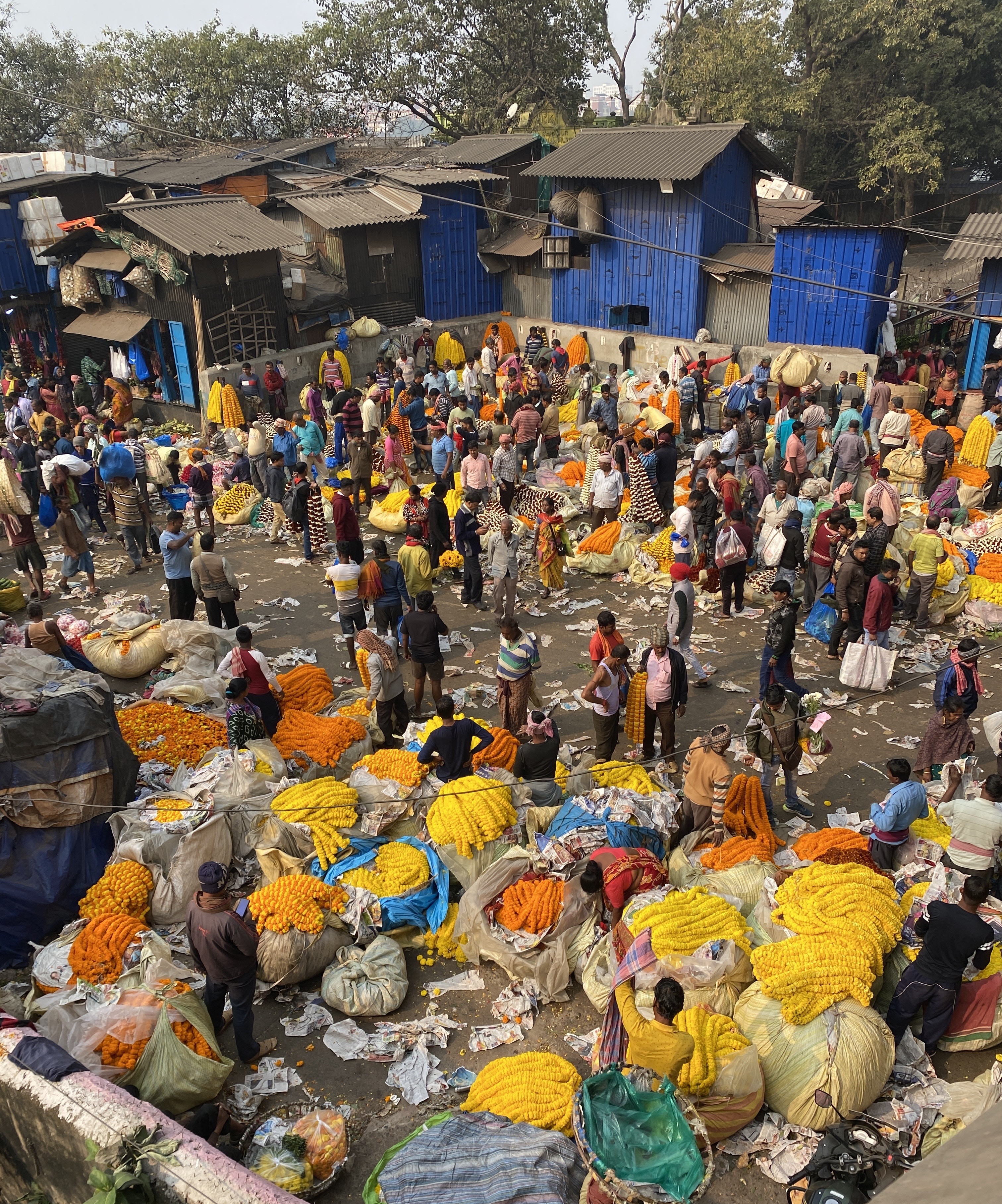 Mullick Ghat Flower Market in Kolkata. Photo / Stephanie Holmes