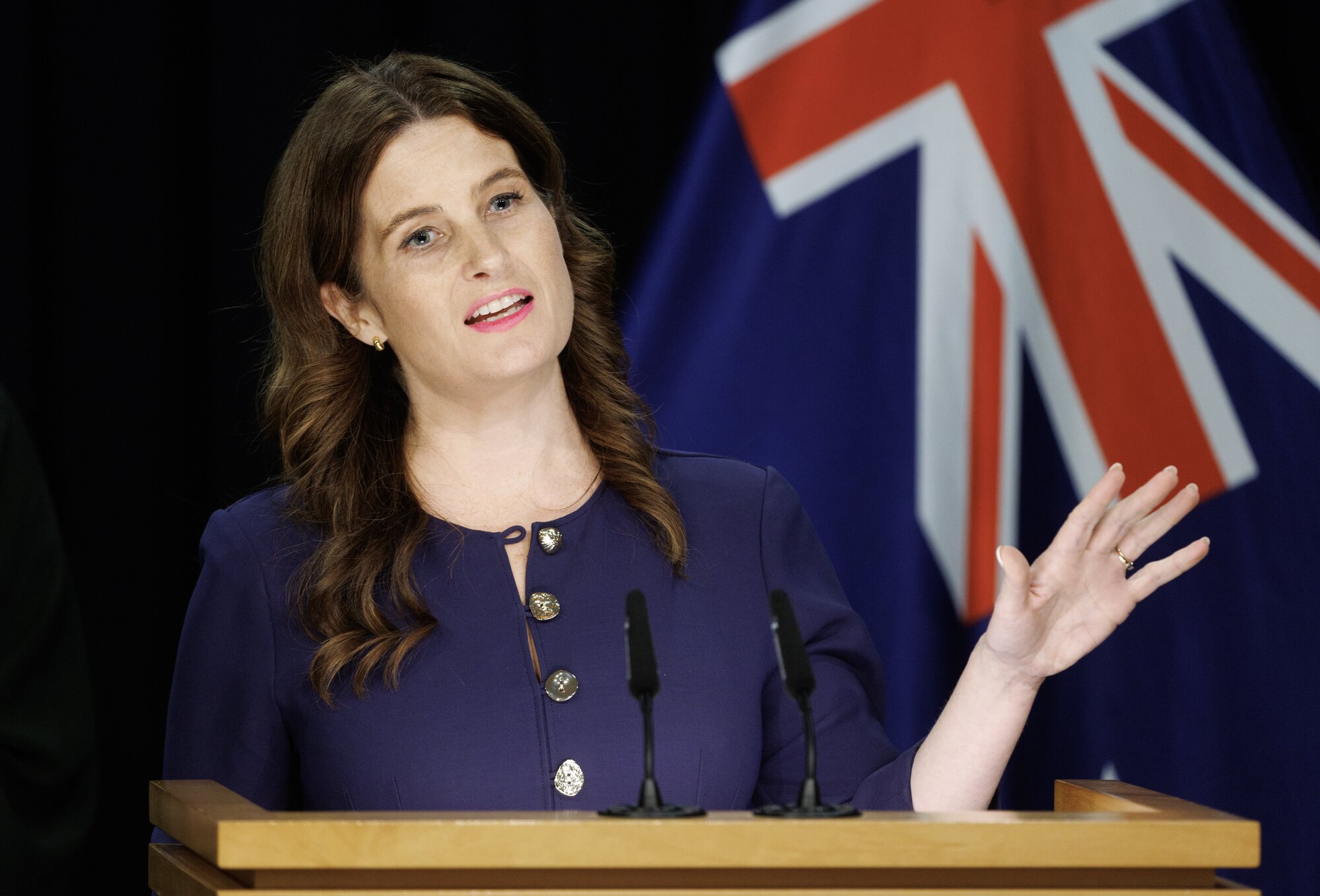 Finance Minister Nicola Willis during the post-Cabinet Press conference at Parliament. Photo / Mark Mitchell