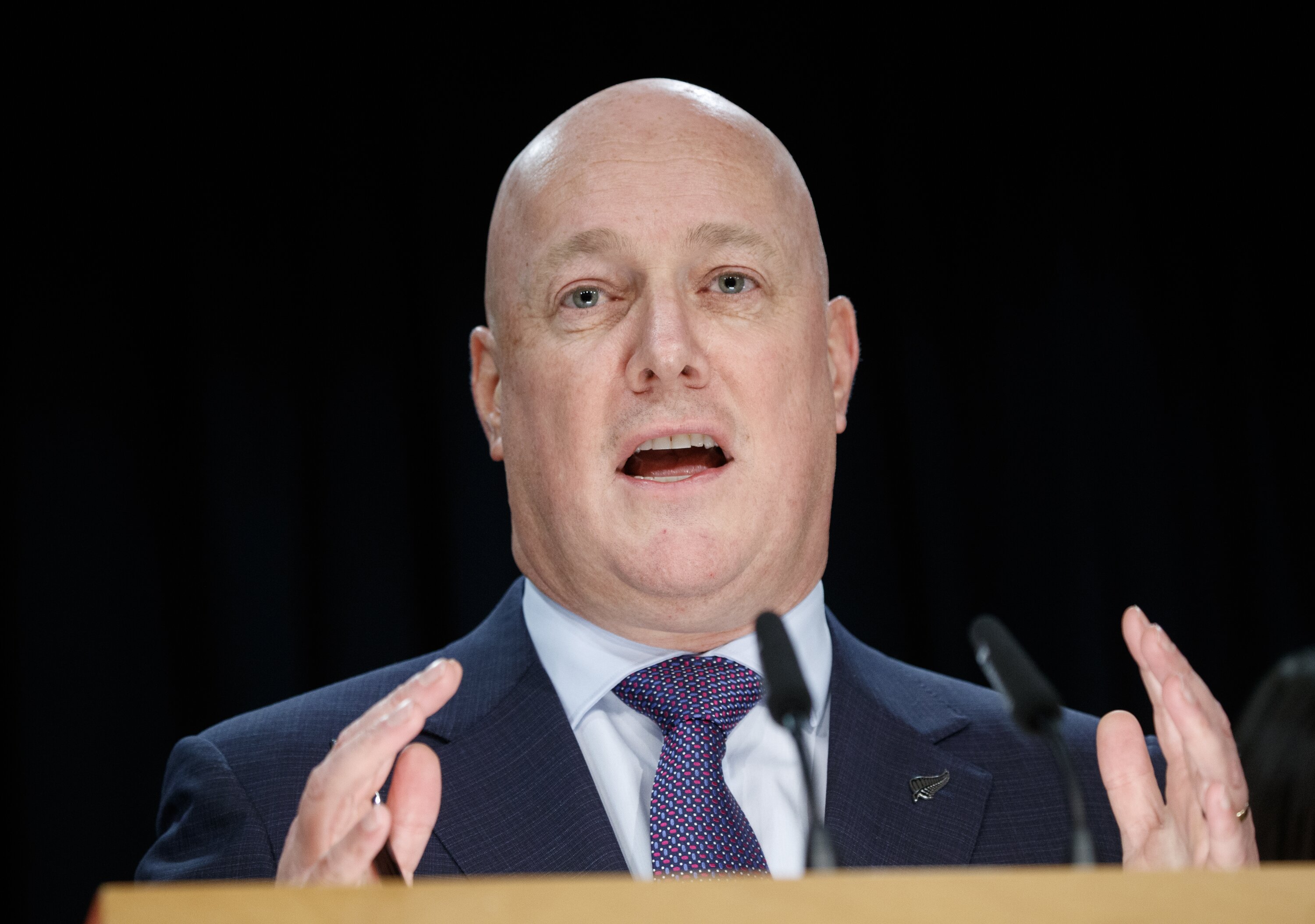Prime Minister Christopher Luxon. Photo / Mark Mitchell