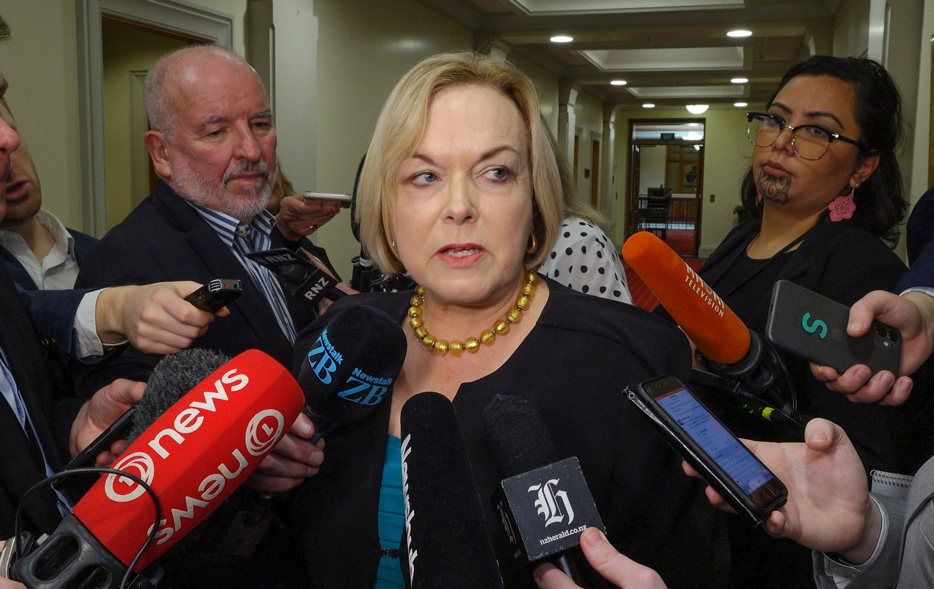 National Party leader Judith Collins fields questions from reporters about the resignation of MP Andrew Falloon. Photo / Mark Mitchell
