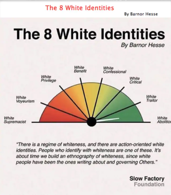 The New Meaning of Whiteness