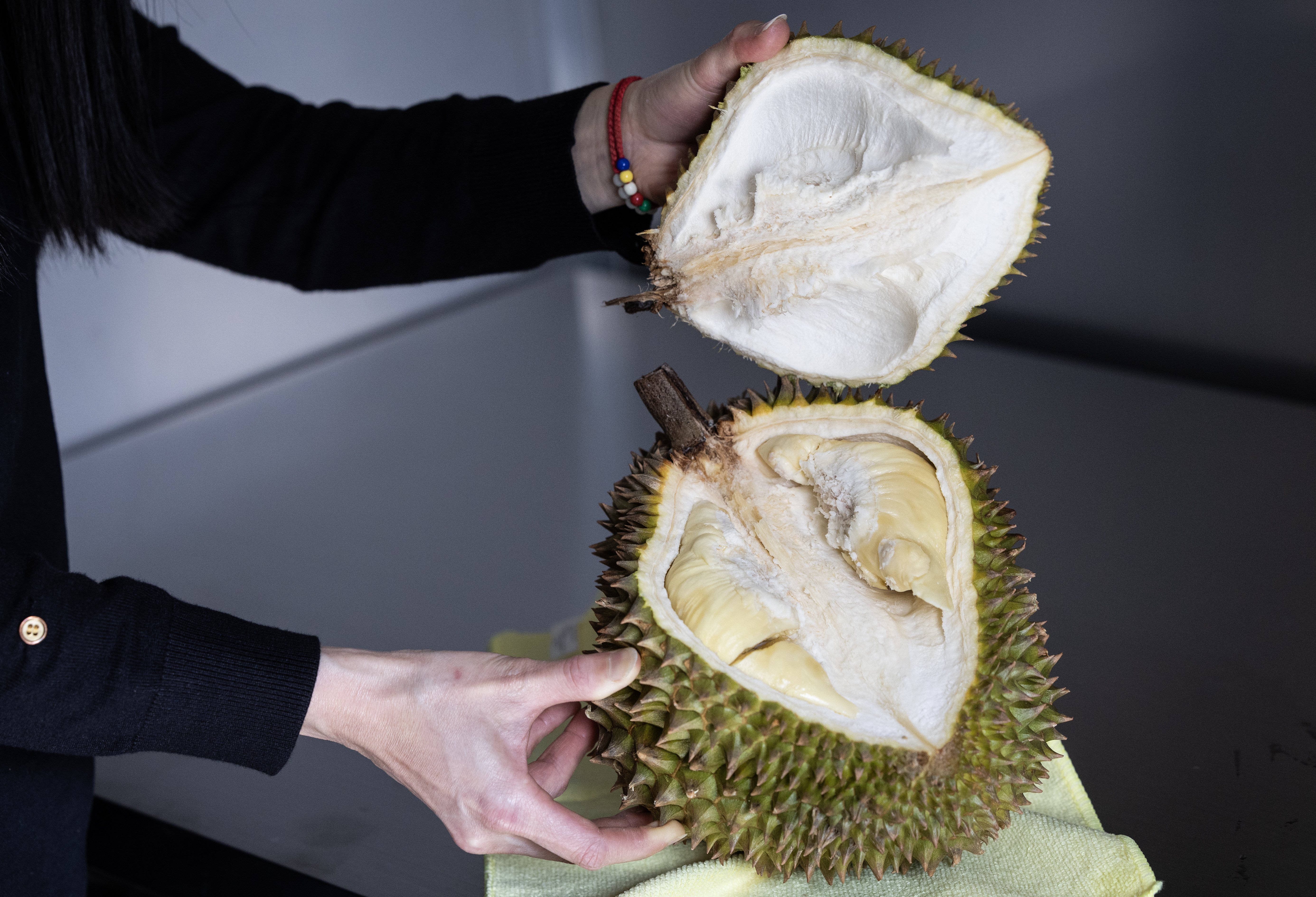 The durian has been described as the world's most divisive fruit. Photo / Jason Oxenham