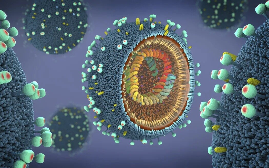 Epidemiologist Dr Michael Baker says increased rates of influenza virus can increase the amount of heart attacks because it can inflame and injure the heart muscle directly. Photo / RNZ