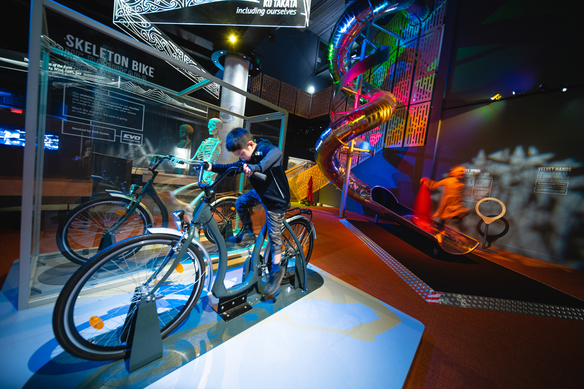 Inside the Tuhura Science Centre, at the Otago Museum. Photo / DunedinNZ