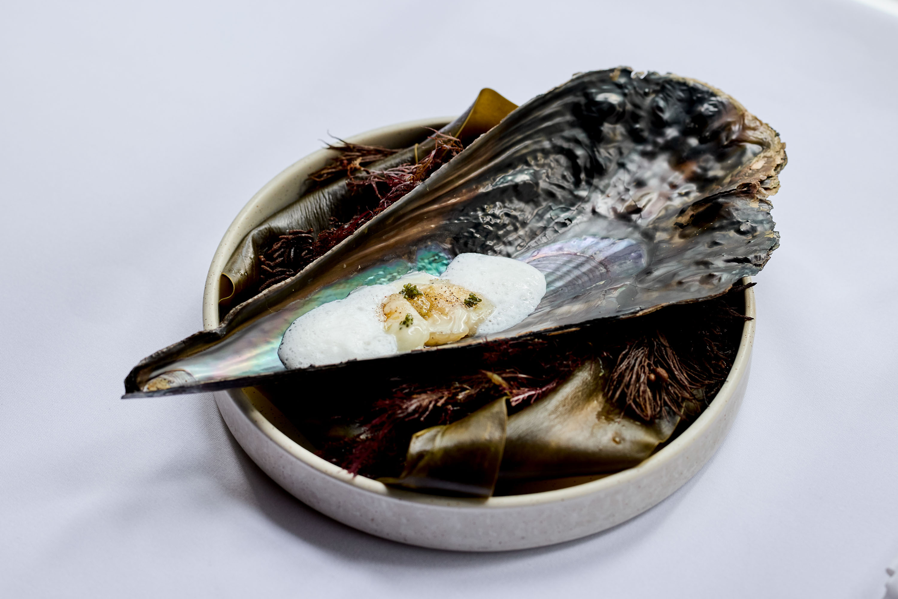 The Grove's Horse Mussel dish, which is  sliced raw scallop with seaweed butter. Photo / Babiche Martens