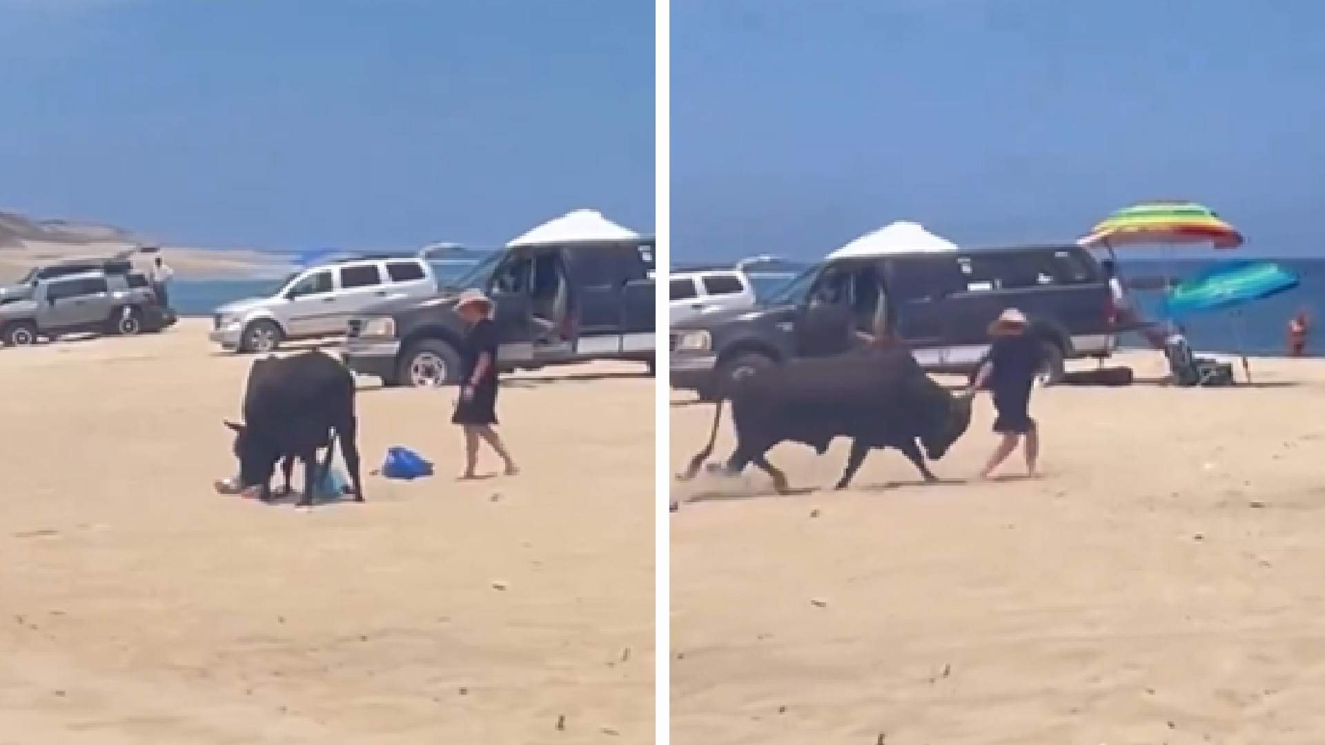 Tourist attacked by raging bull on Mexico beach as Los Cabos residents look  on - NZ Herald