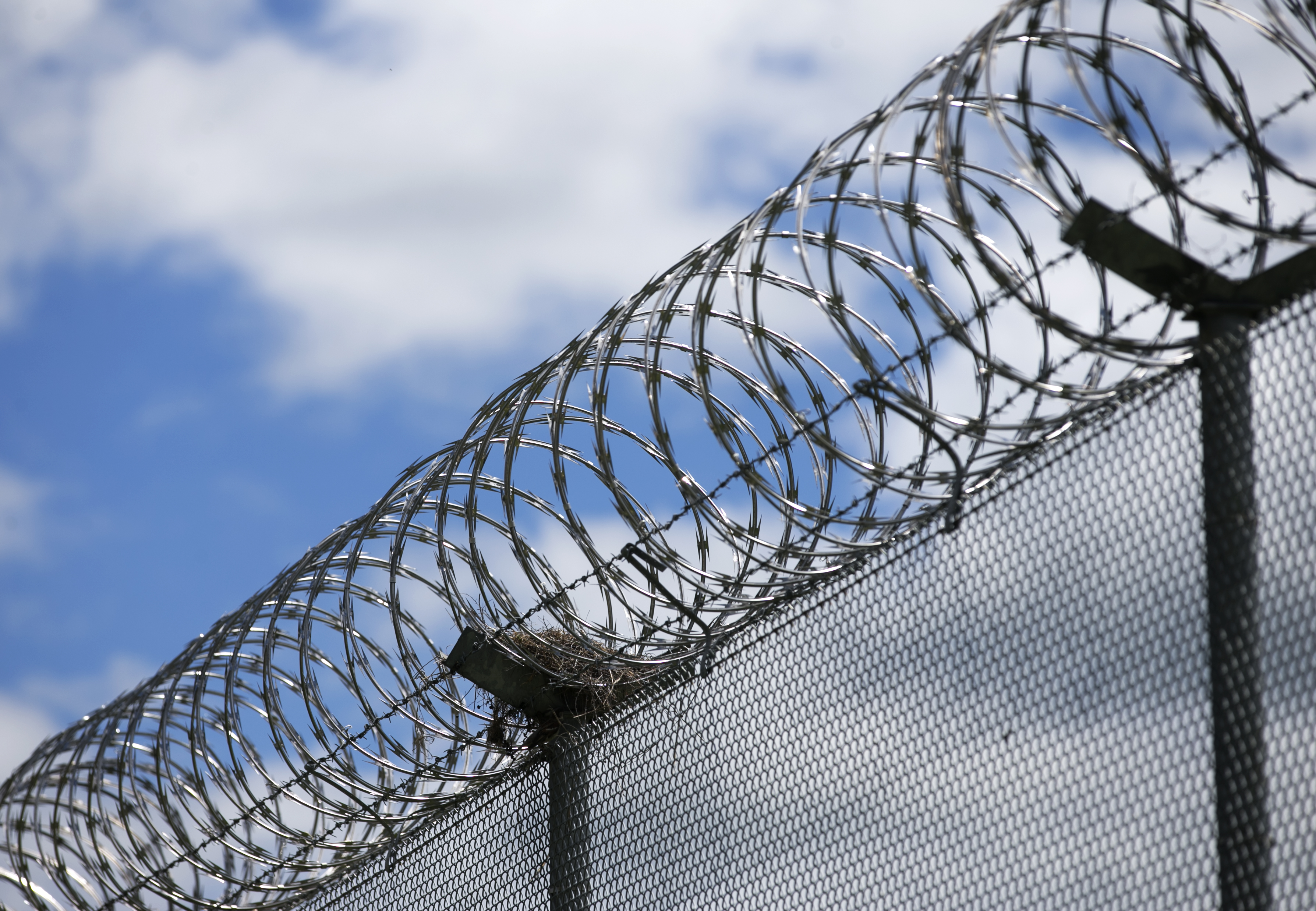 The Government wants to build 800 more beds at Waikato's Waikeria prison as part of its four-year spend on Corrections. Photo / Alan Gibson