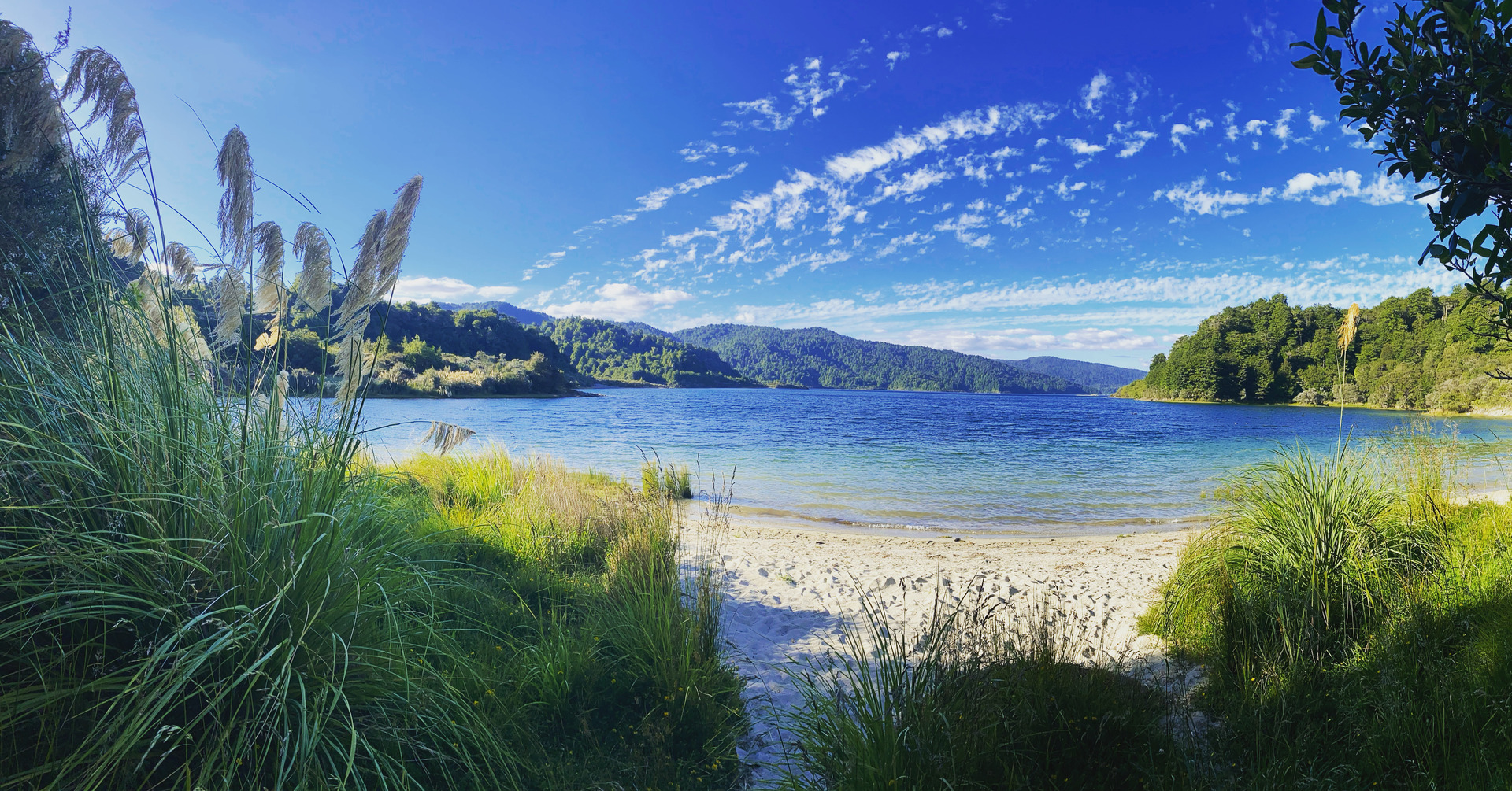 Lake Waikaremoana is one of New Zealand's msot serene Great Walks. Photo / Holly Reid