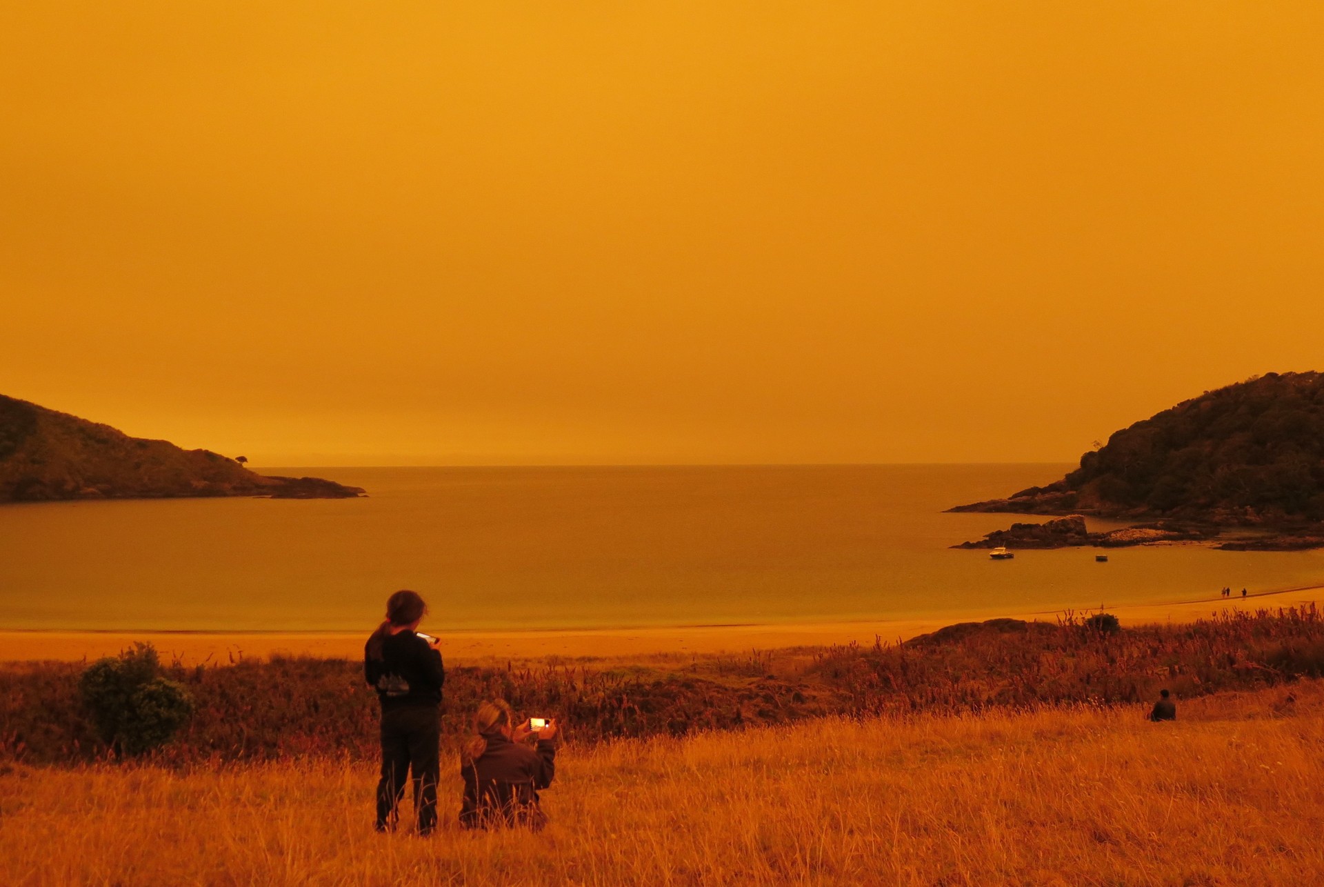 Smoke from Australian bushfires turned the sky an eerie yellow over Maitai Bay on the Karikari Peninsula in January 2020. Photo / Peter de Graaf