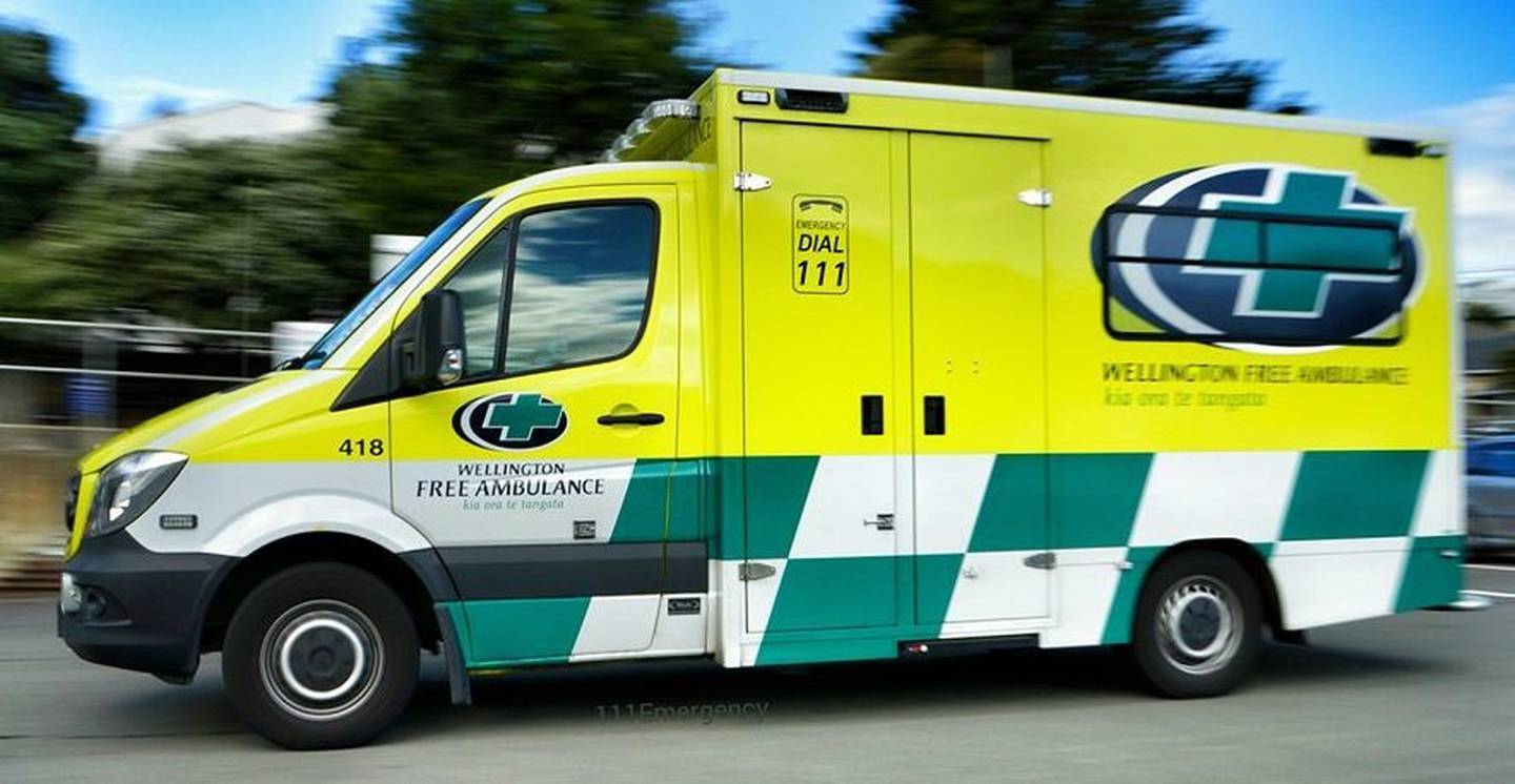 Paramedics were called but the boy was pronounced dead at the scene.