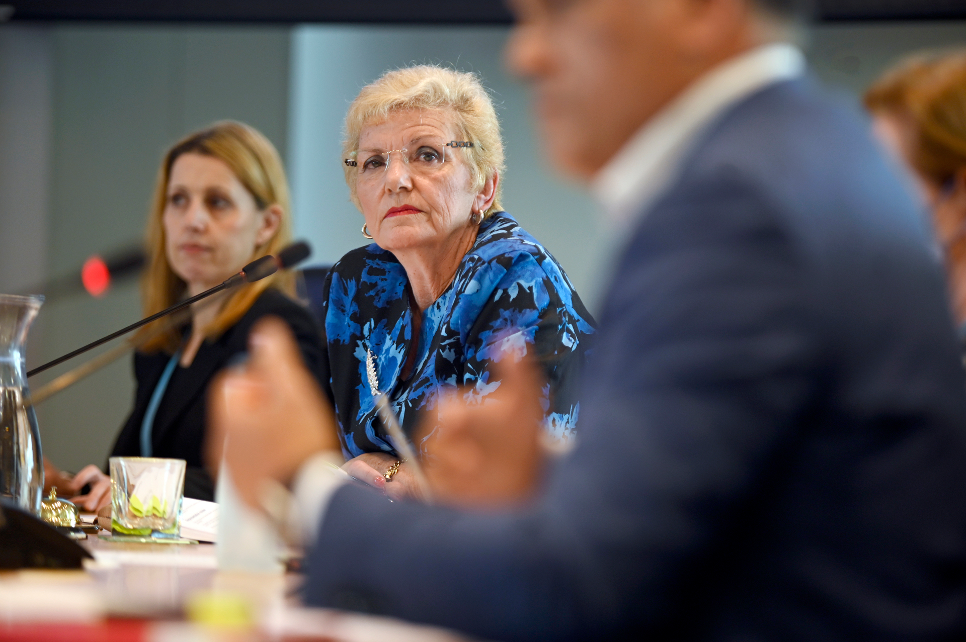 Tauranga City Council commission chairwoman Anne Tolley. Photo / George Novak 