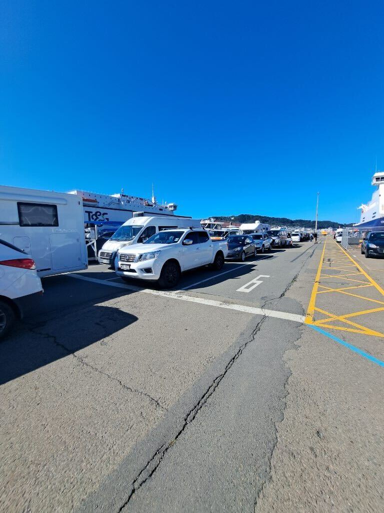 Queues of vehicles at the Bluebridge terminal in Wellington. Photo / Supplied