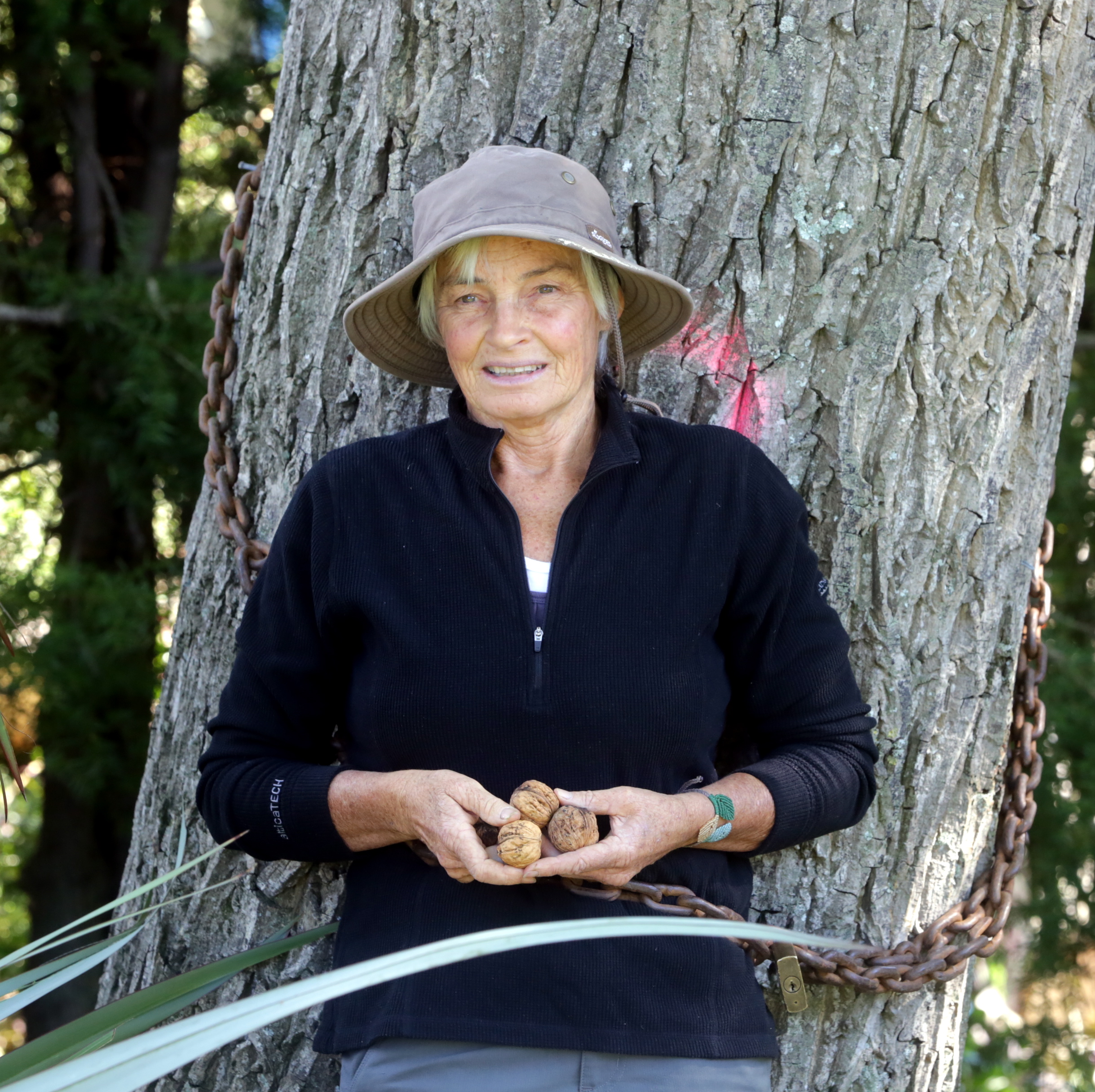 Chaining yourself to tree does work: Protester wins reprieve for her favourite walnut tree - NZ Herald