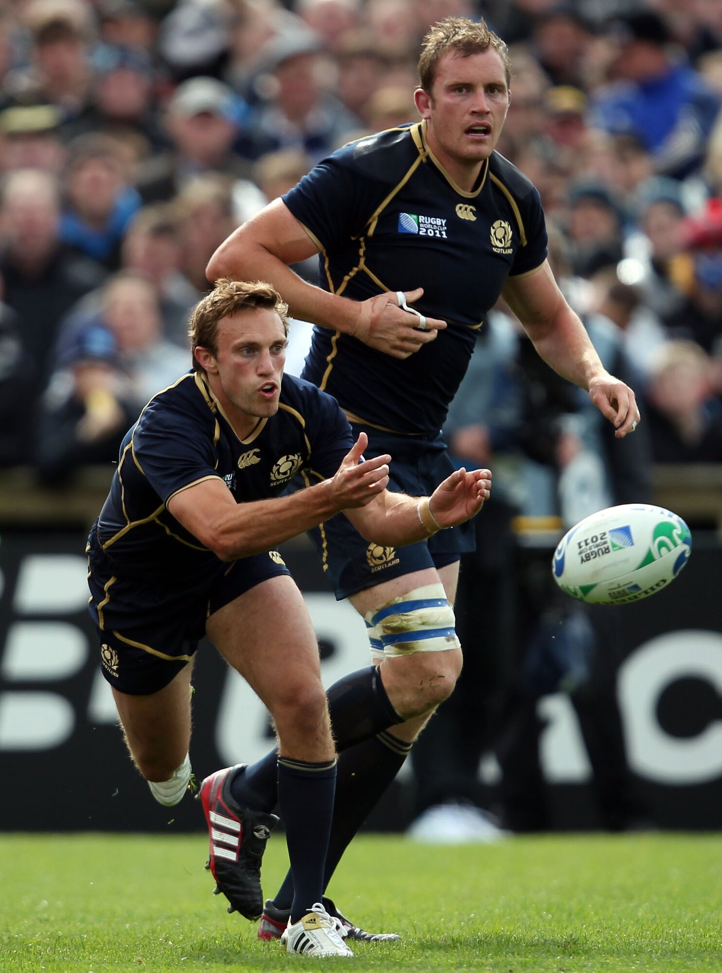 Mike Blair clears the ball for Scotland during the 2011 Rugby World Cup. Photo / Photosport