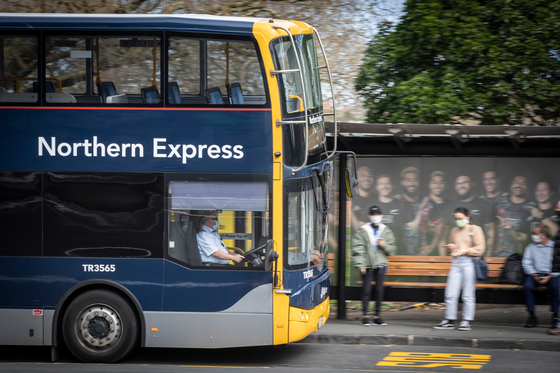 Auckland Transport has 1350 buses in its fleet. Photo / Greg Bowker