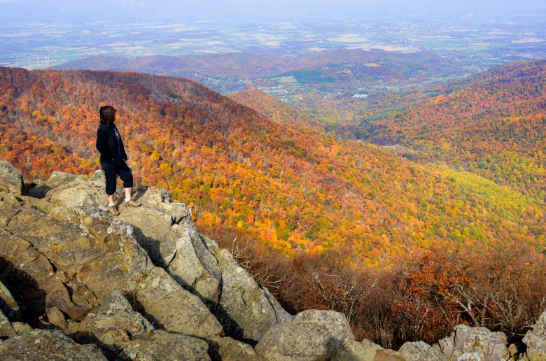 Enjoy Virginia's burst of autumn colours in Shenandoah National Park. Photo / Getty Images