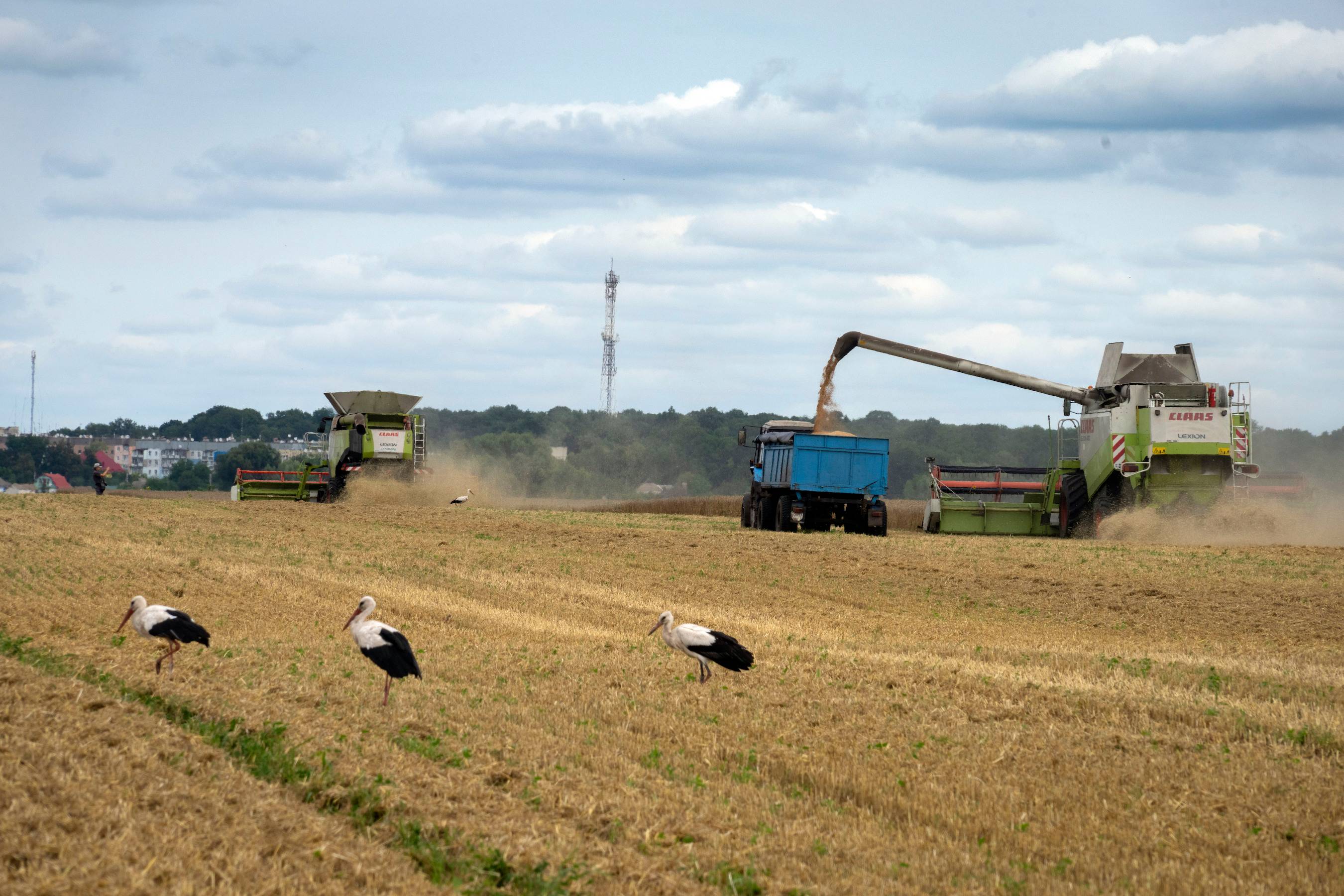 Russia says it has halted an unprecedented wartime deal that allows grain to flow from Ukraine to countries in Africa, the Middle East and Asia. Photo / AP
