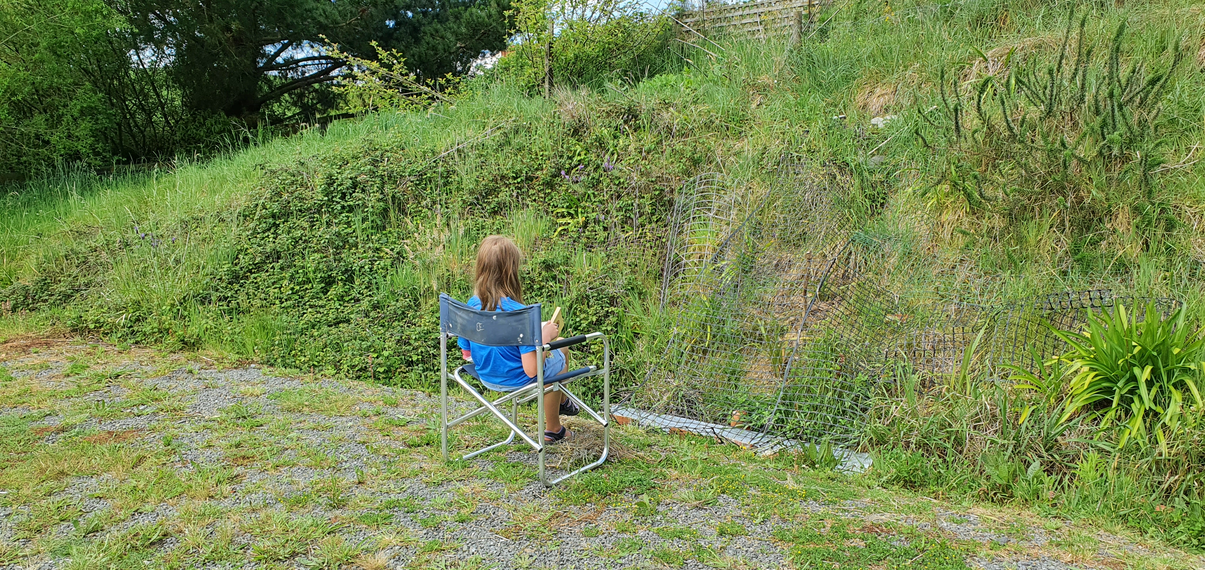 Caelyn Hossack, 9, was the first to spot the rare skinks and can often be found in front of their habitat reading a book.