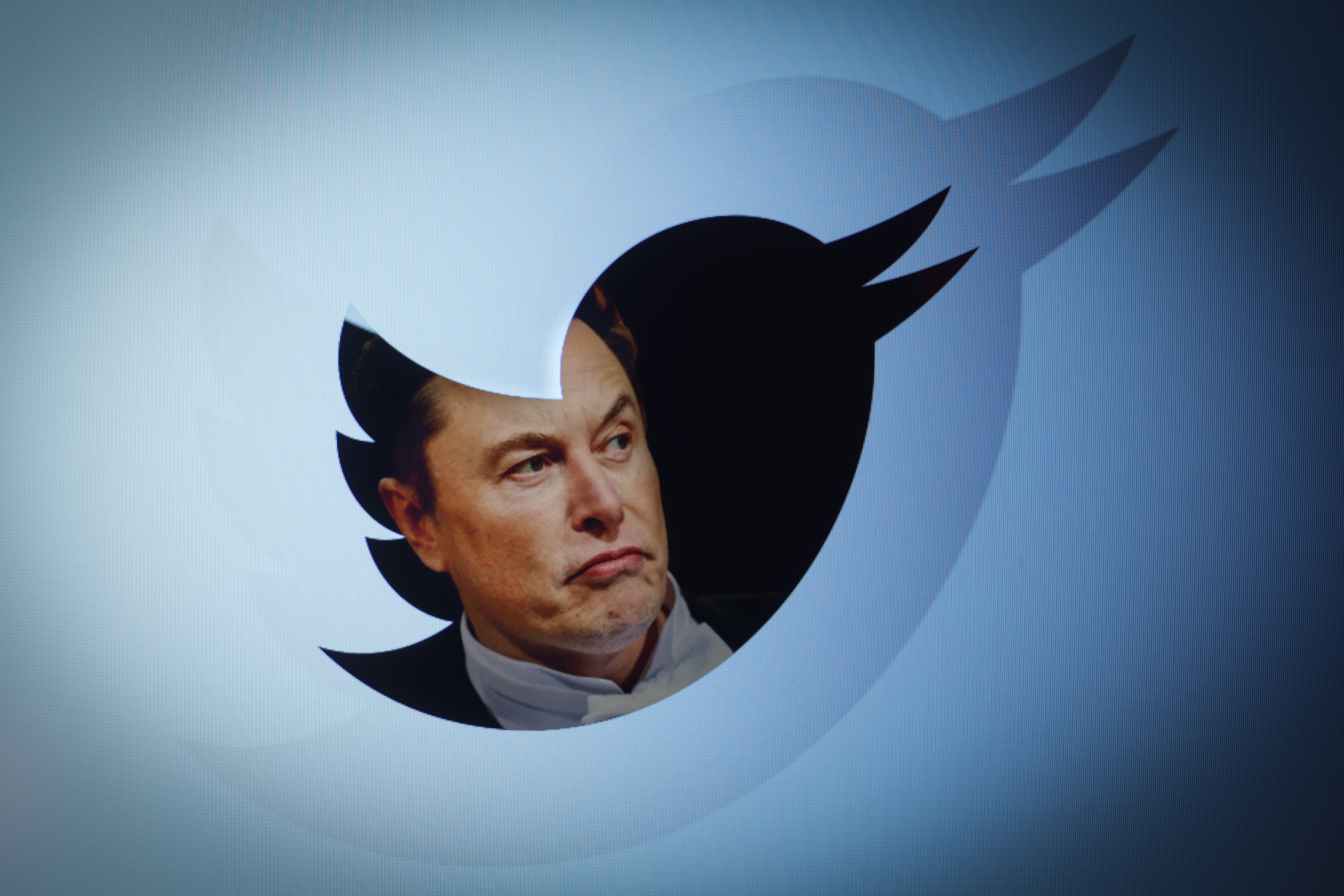 Twitter owner Elon Musk. Photo / Getty Images
