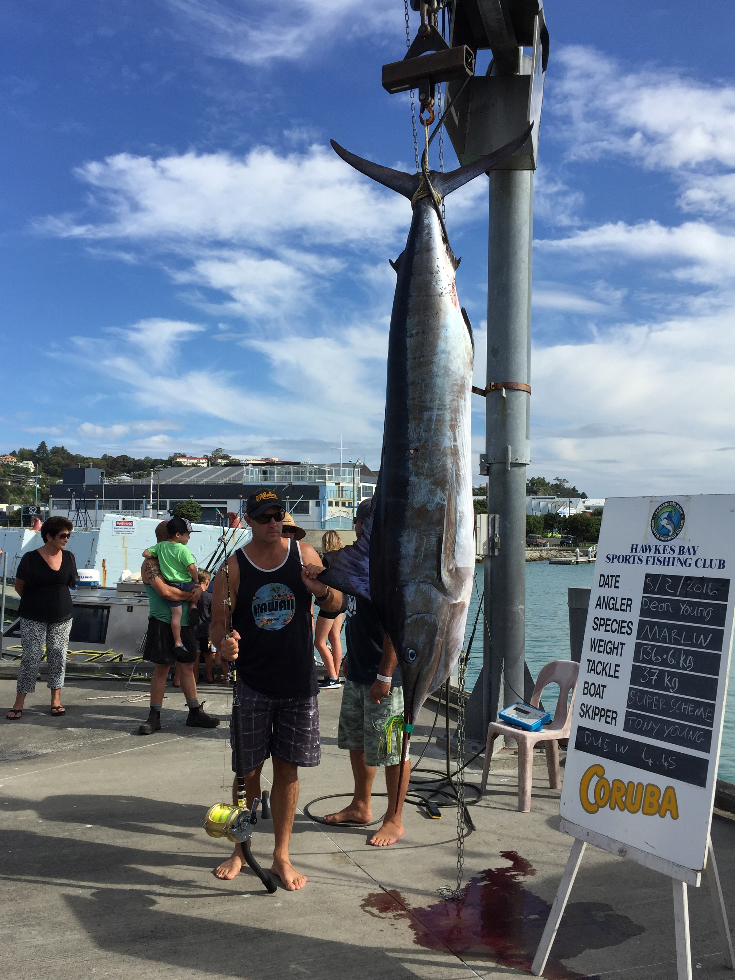 Monster fish gets boat by hook, line and sinks it - NZ Herald