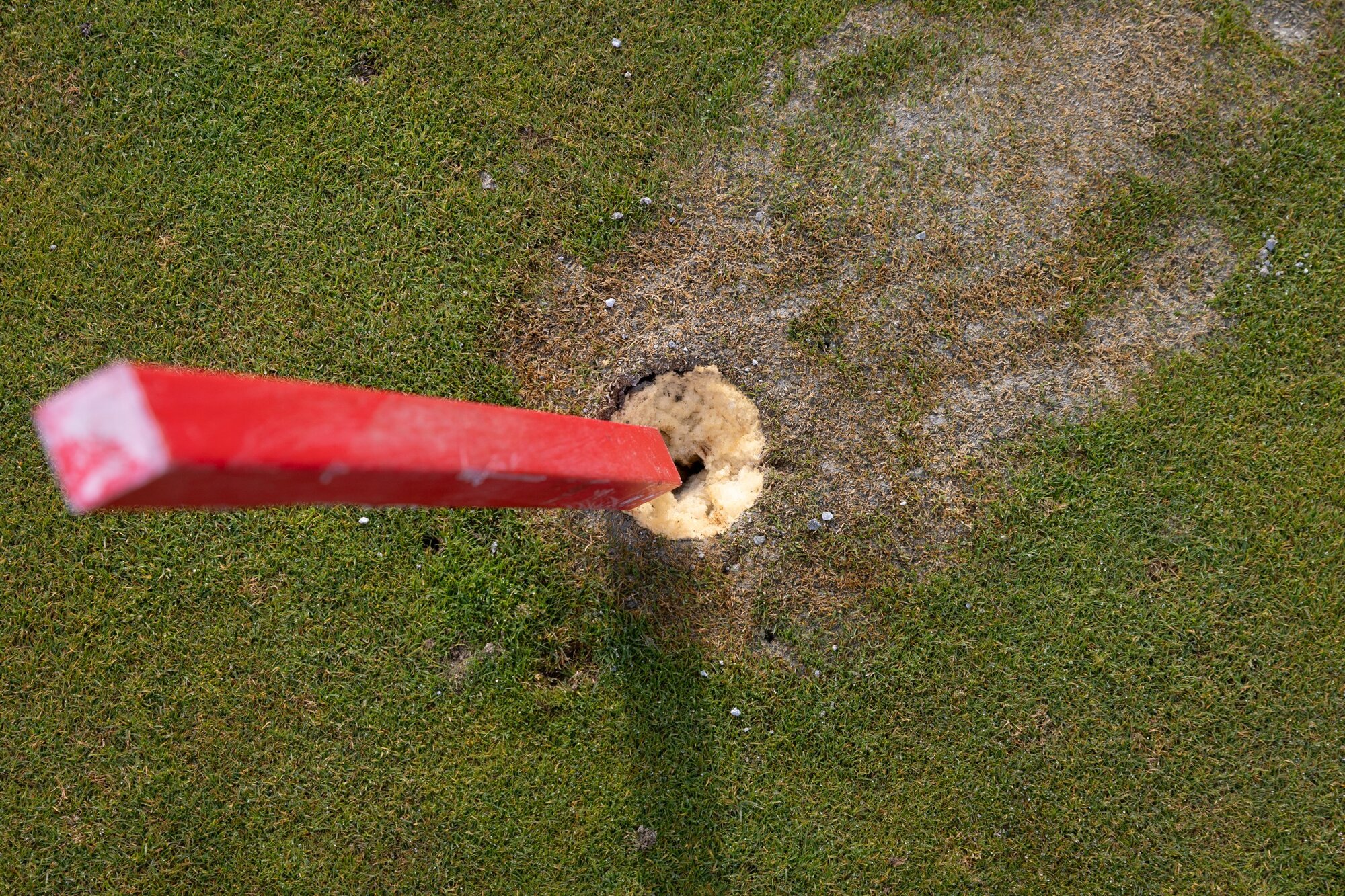 Holes on the former Pegasus golf course have been filled in by new owner Wolfbrook Property. Photo / Anna Heath.