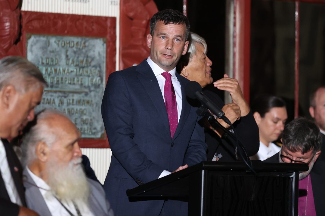 David Seymour pictured at Waitangi on Waitangi Day . Photo: Fiona Goodall/Getty Images